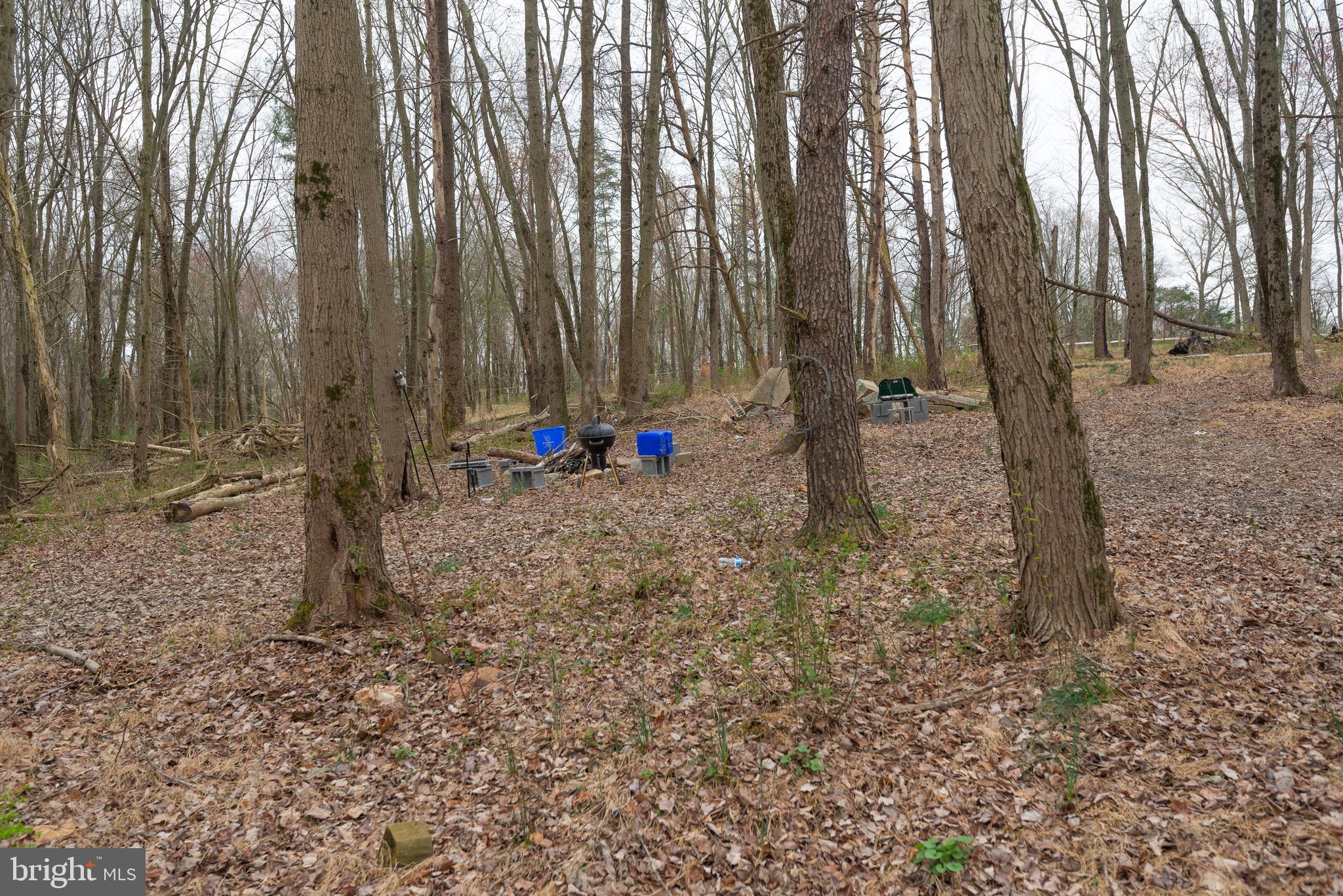 19601 Darnestown Road Beallsville, MD 20839 - Photo 45 of 119 a view of outdoor space with sink