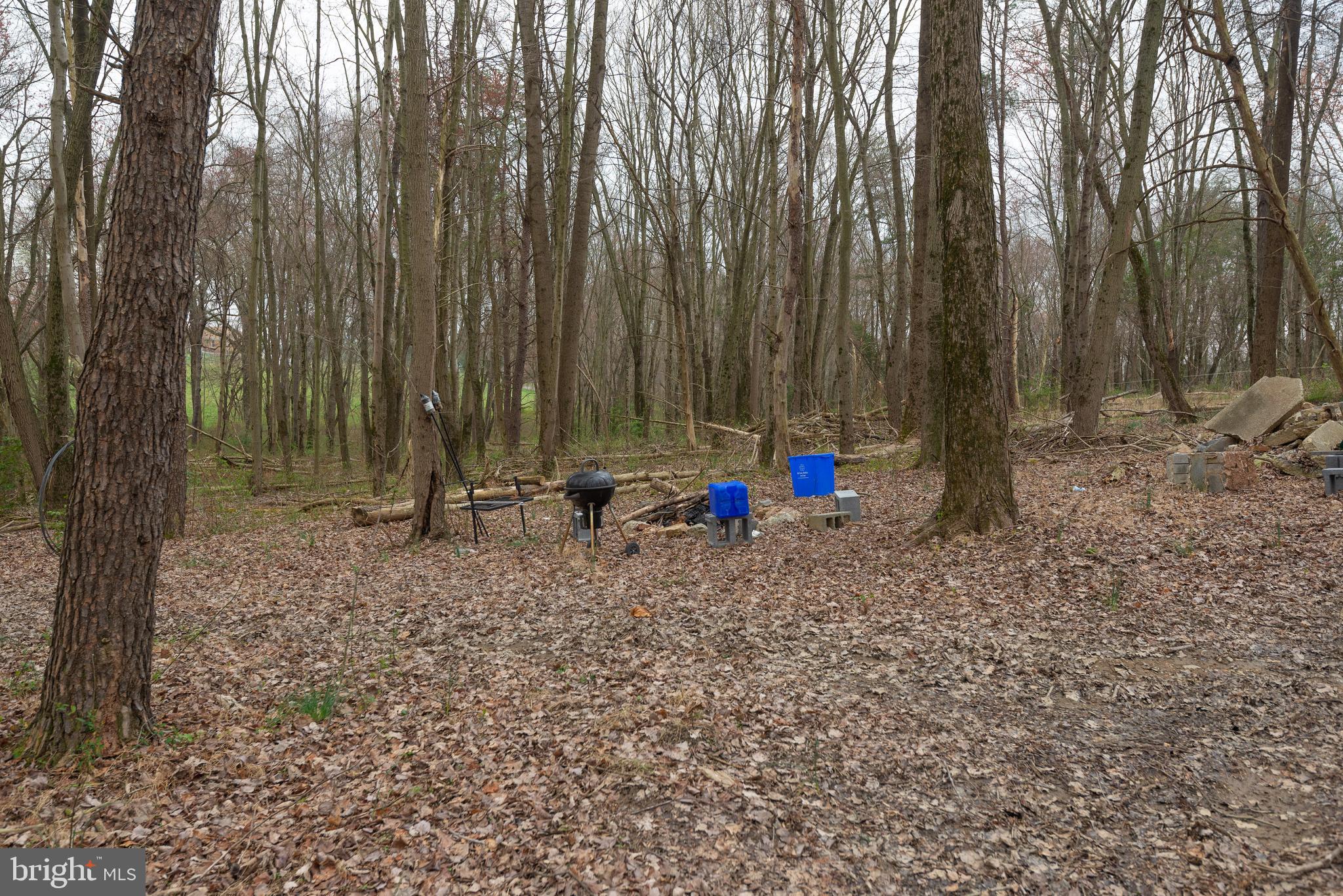 19601 Darnestown Road Beallsville, MD 20839 - Photo 46 of 119