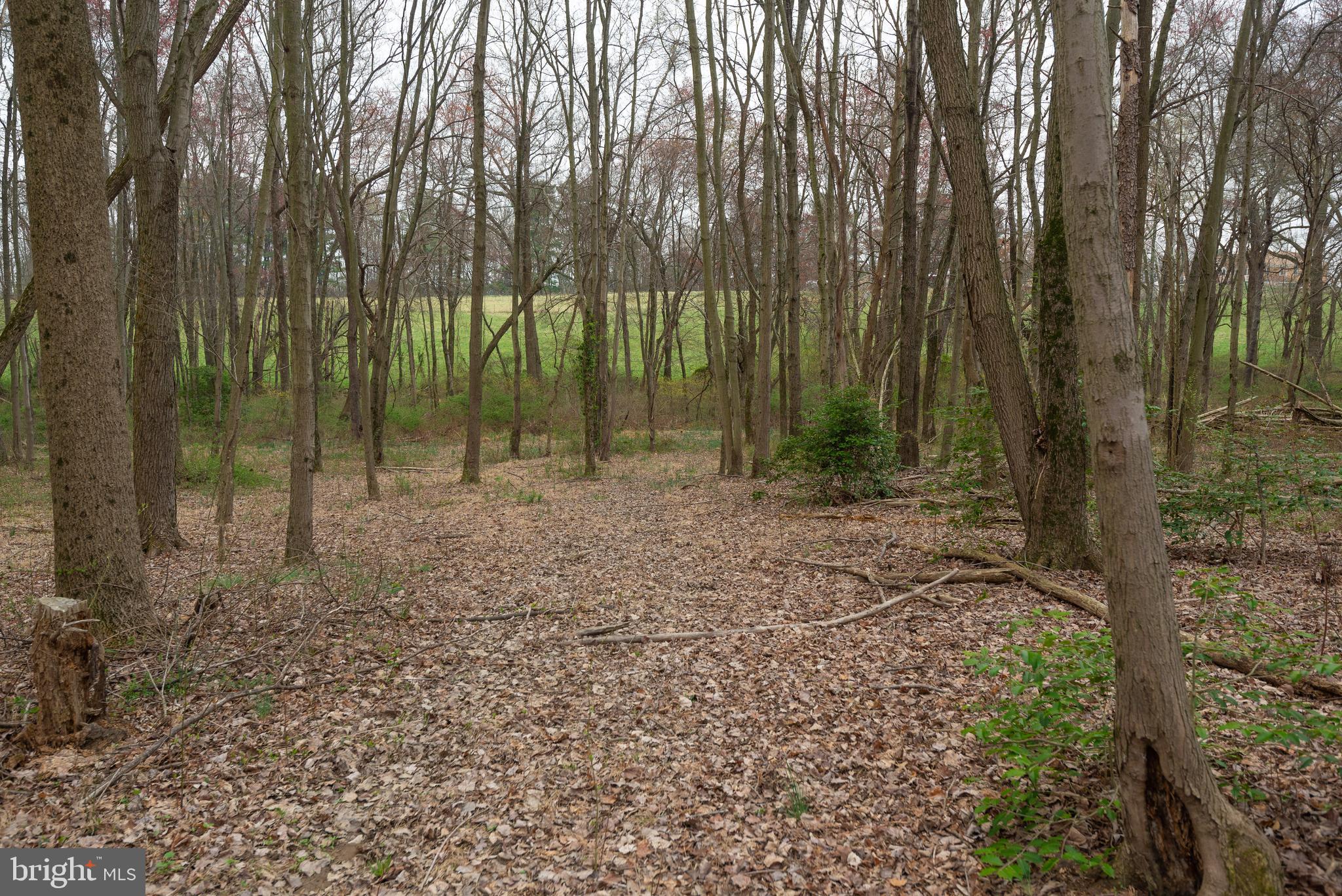 19601 Darnestown Road Beallsville, MD 20839 - Photo 49 of 119 a view of outdoor space and green space