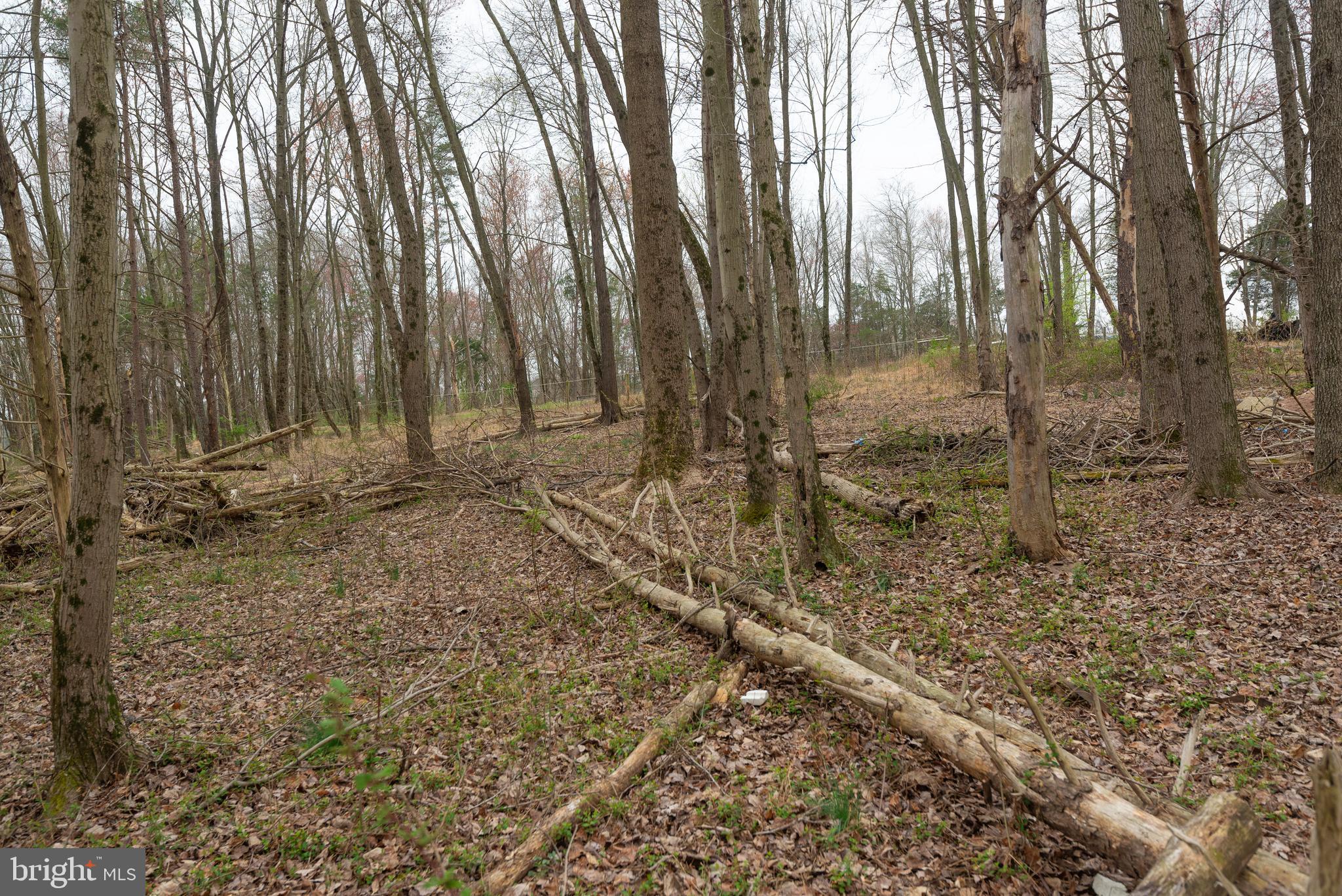 19601 Darnestown Road Beallsville, MD 20839 - Photo 52 of 119 a backyard of a house with lots of green space