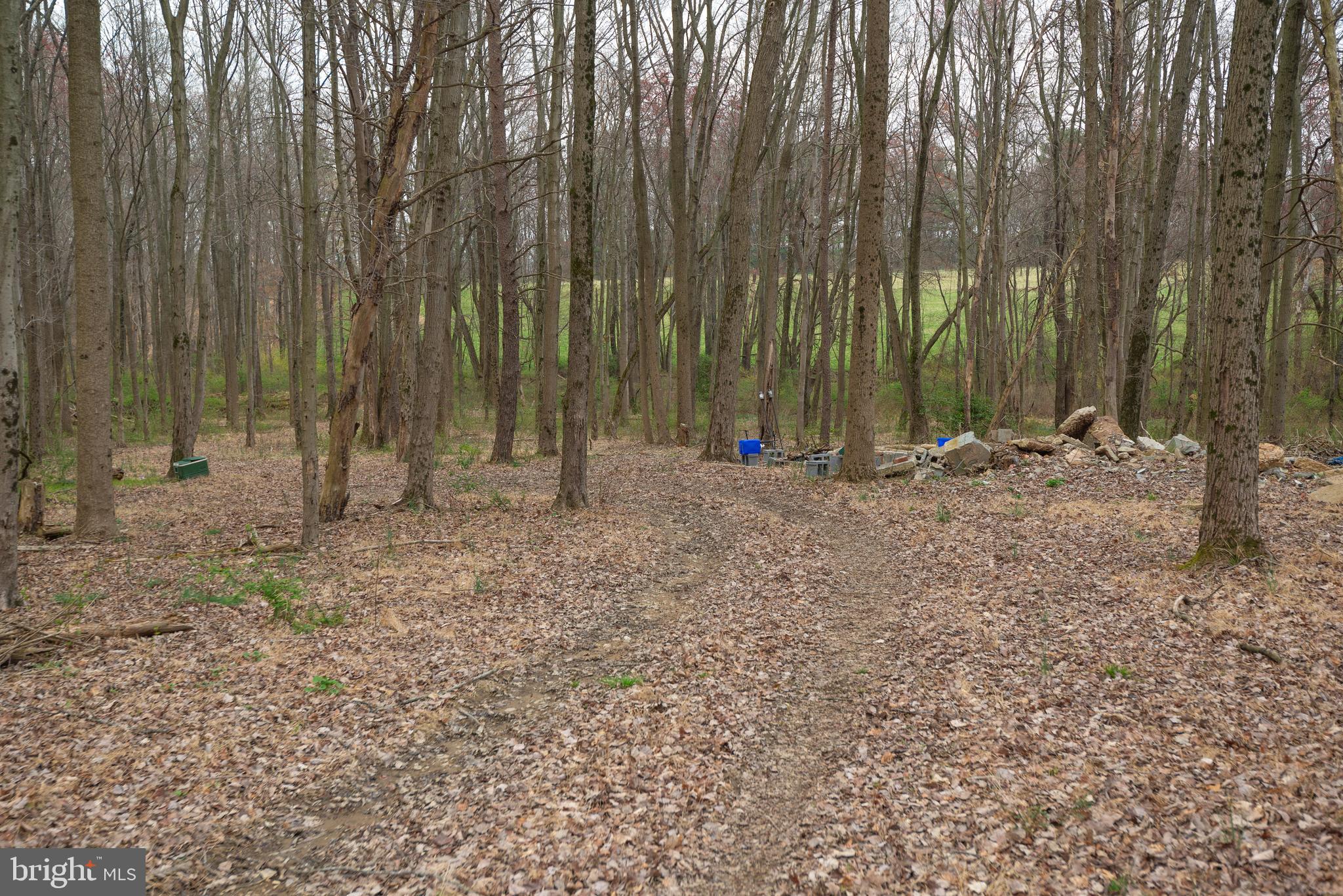 19601 Darnestown Road Beallsville, MD 20839 - Photo 53 of 119