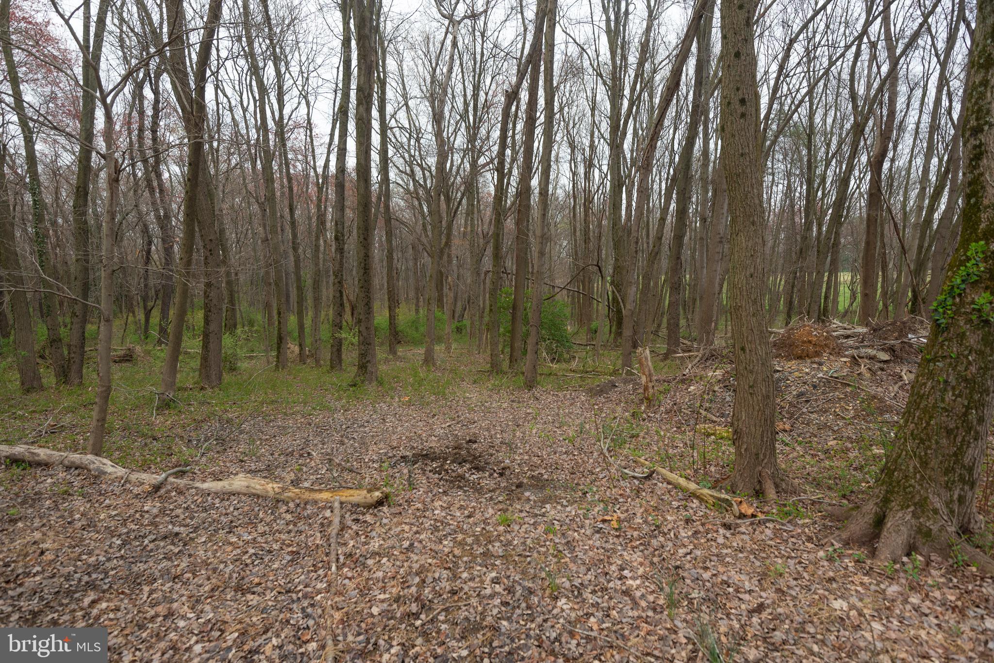19601 Darnestown Road Beallsville, MD 20839 - Photo 57 of 119 a view of outdoor space with trees
