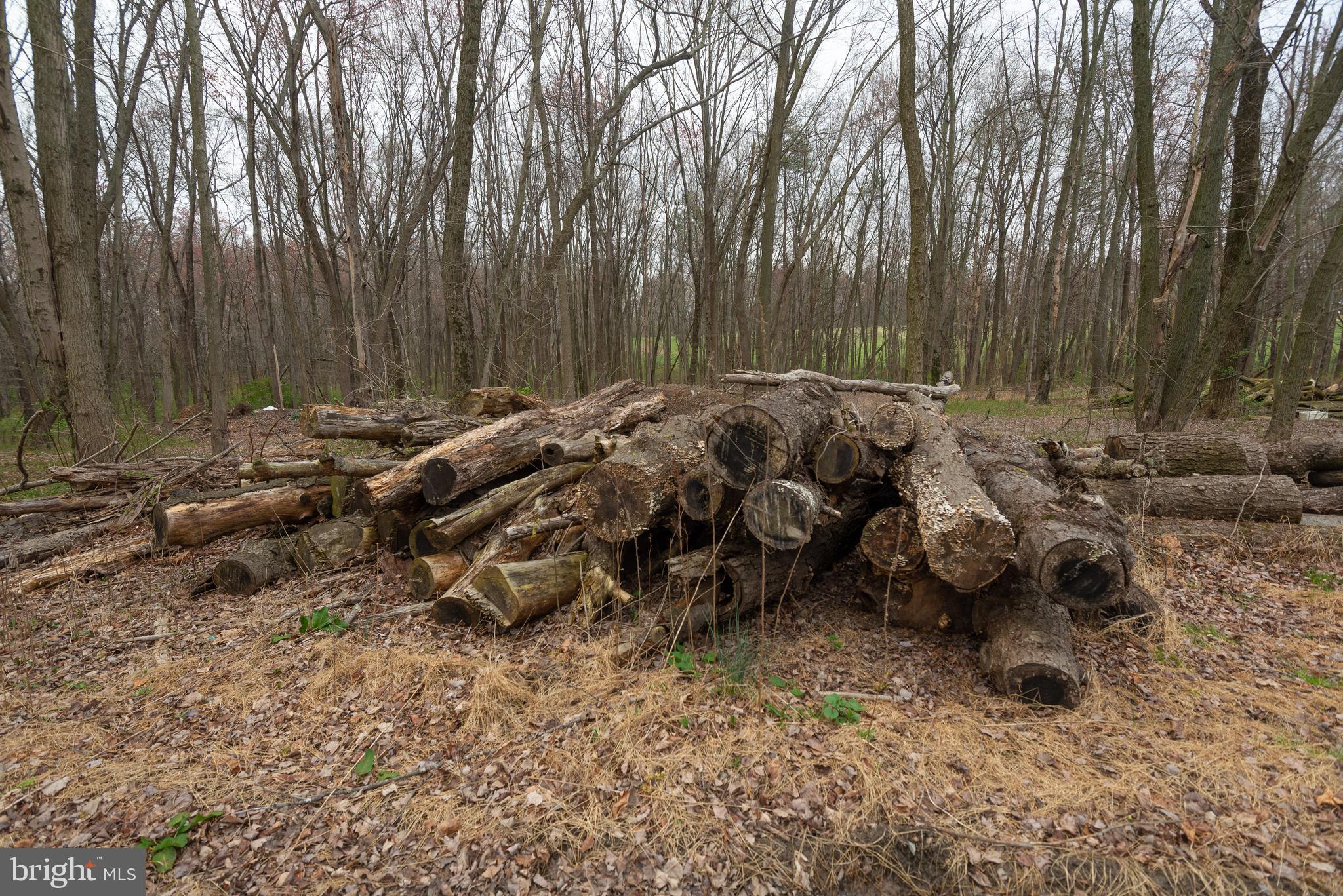 19601 Darnestown Road Beallsville, MD 20839 - Photo 59 of 119