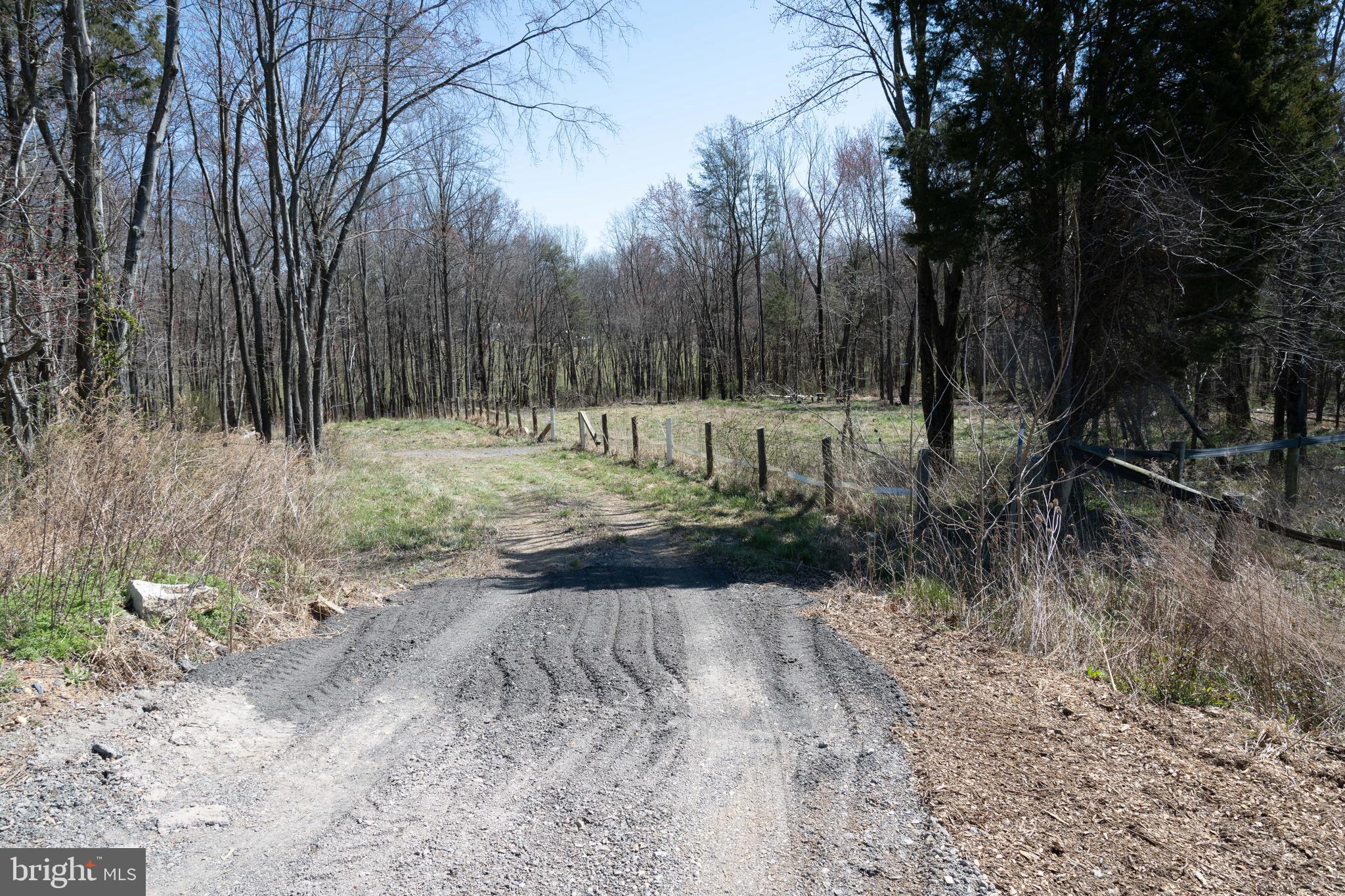 19601 Darnestown Road Beallsville, MD 20839 - Photo 6 of 119 a view of backyard with large trees and wooden fence