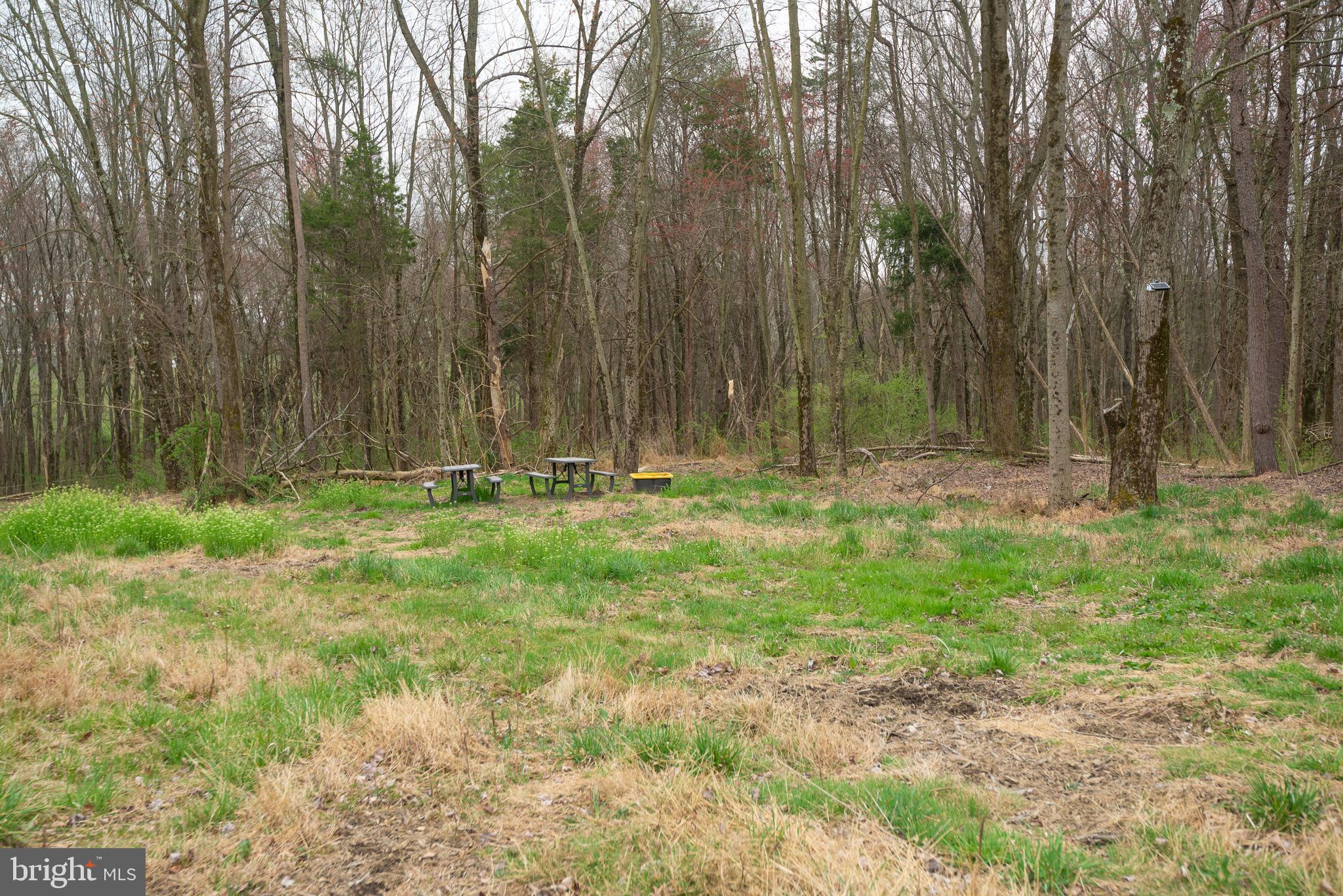 19601 Darnestown Road Beallsville, MD 20839 - Photo 62 of 119