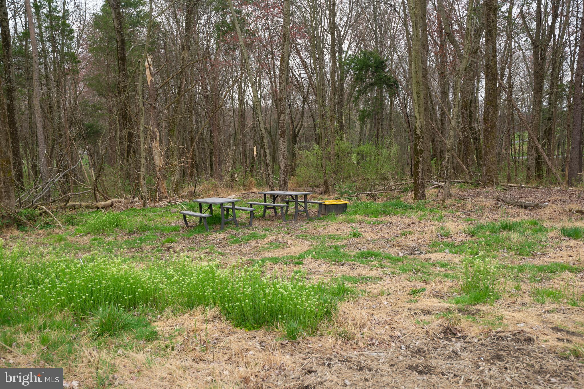 19601 Darnestown Road Beallsville, MD 20839 - Photo 63 of 119 a backyard of a house with lots of green space