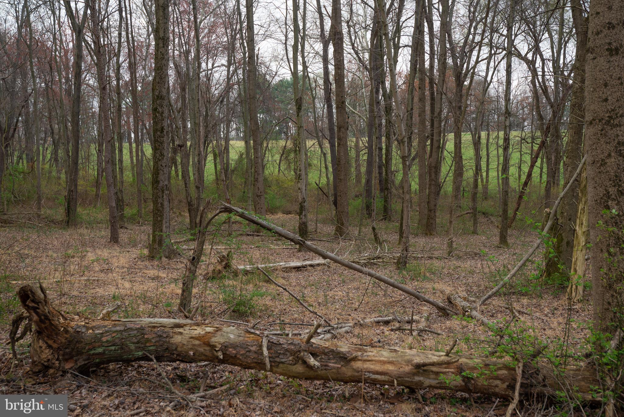 19601 Darnestown Road Beallsville, MD 20839 - Photo 65 of 119