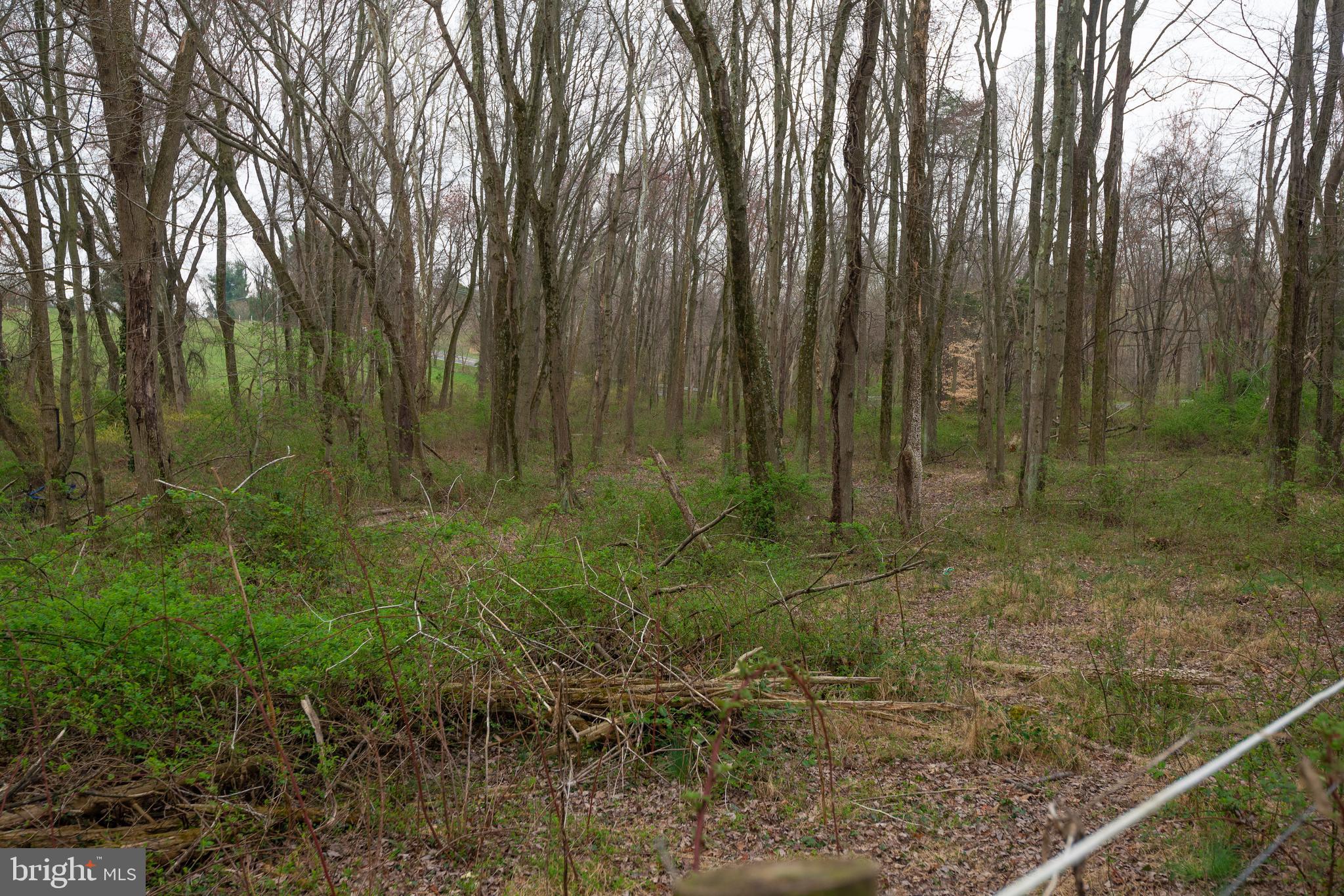 19601 Darnestown Road Beallsville, MD 20839 - Photo 67 of 119 a view of outdoor space and green space