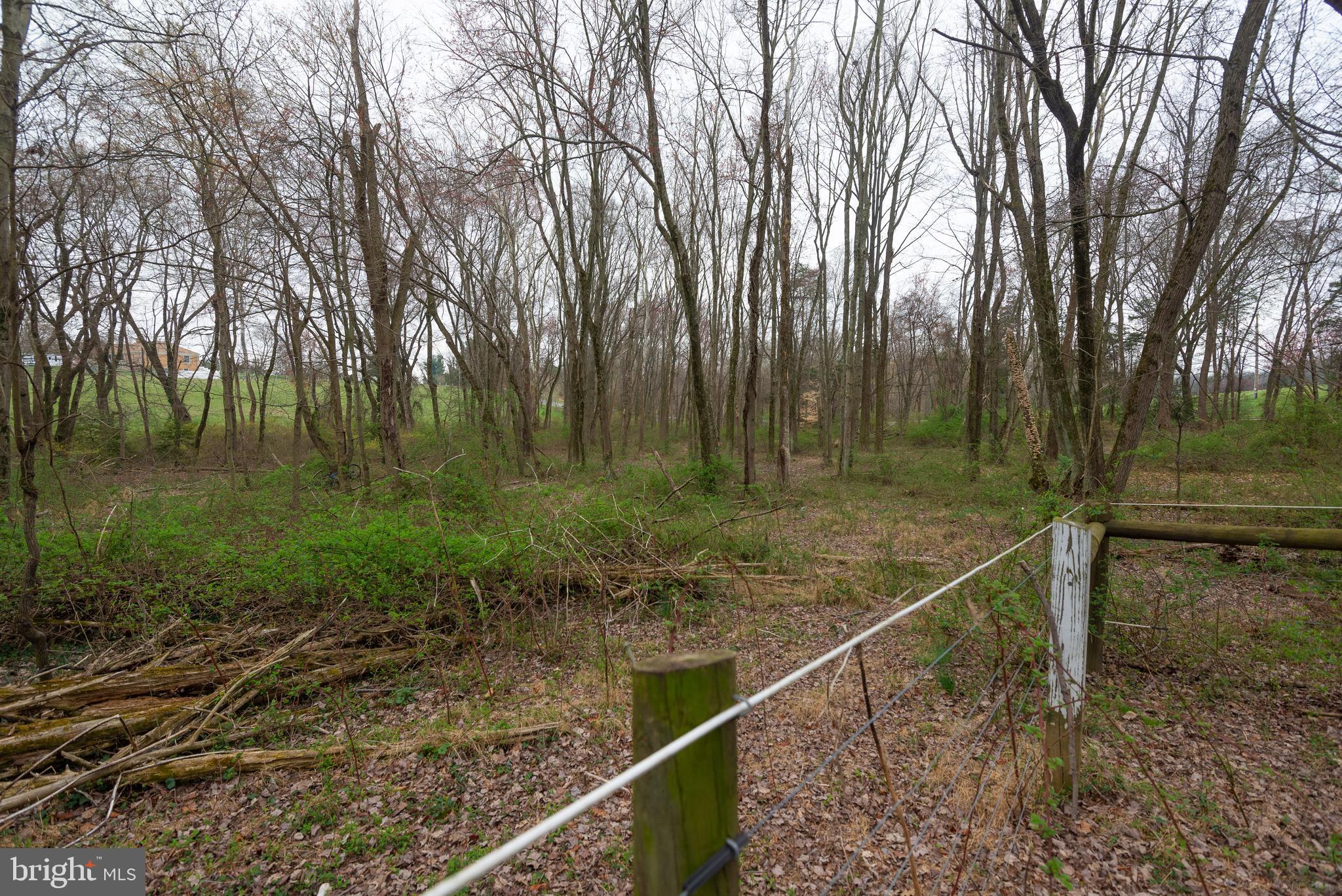 19601 Darnestown Road Beallsville, MD 20839 - Photo 68 of 119