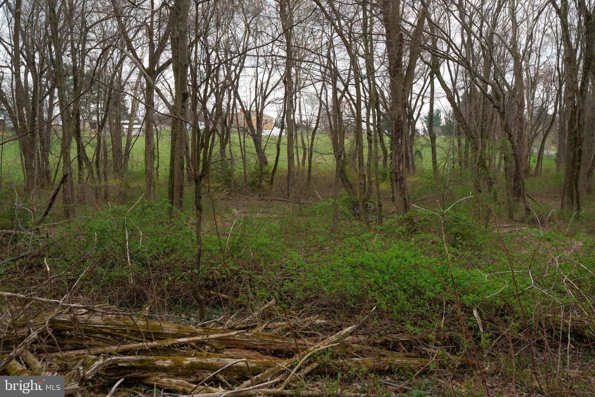 19601 Darnestown Road Beallsville, MD 20839 - Photo 69 of 119 a view of forest