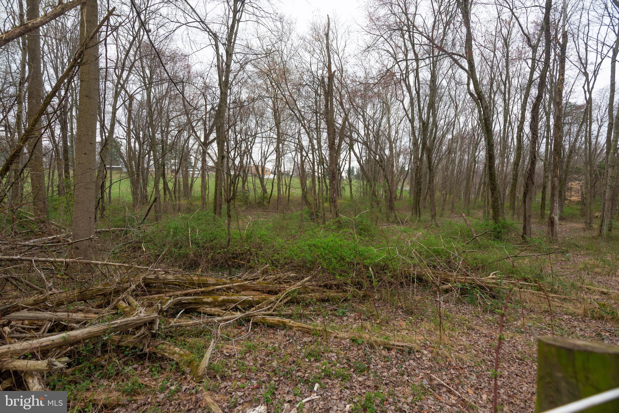 19601 Darnestown Road Beallsville, MD 20839 - Photo 70 of 119 a backyard of a house with lots of green space