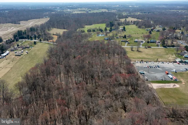 a view of a yard with plants