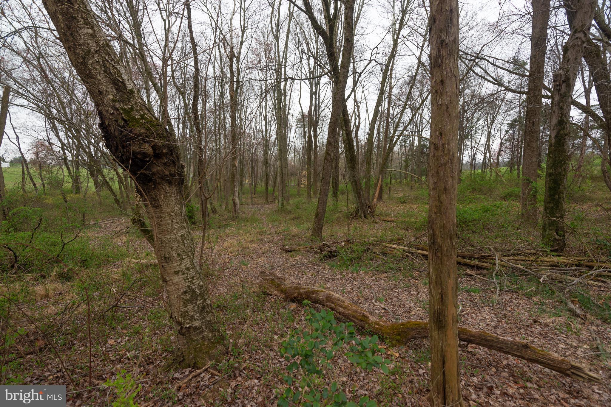 19601 Darnestown Road Beallsville, MD 20839 - Photo 71 of 119