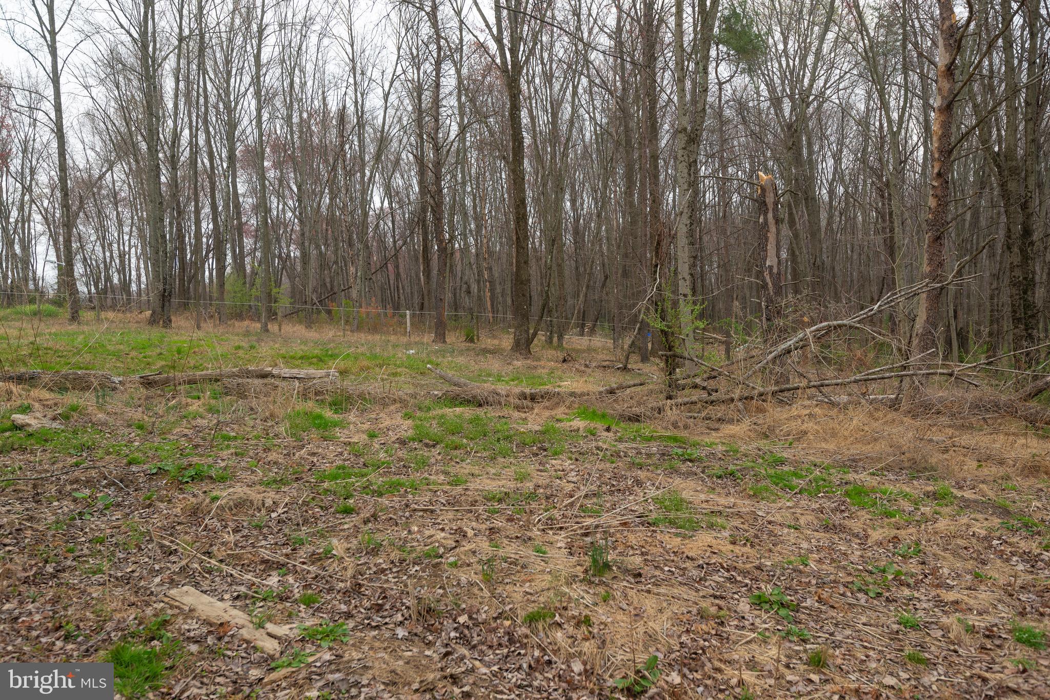 19601 Darnestown Road Beallsville, MD 20839 - Photo 75 of 119