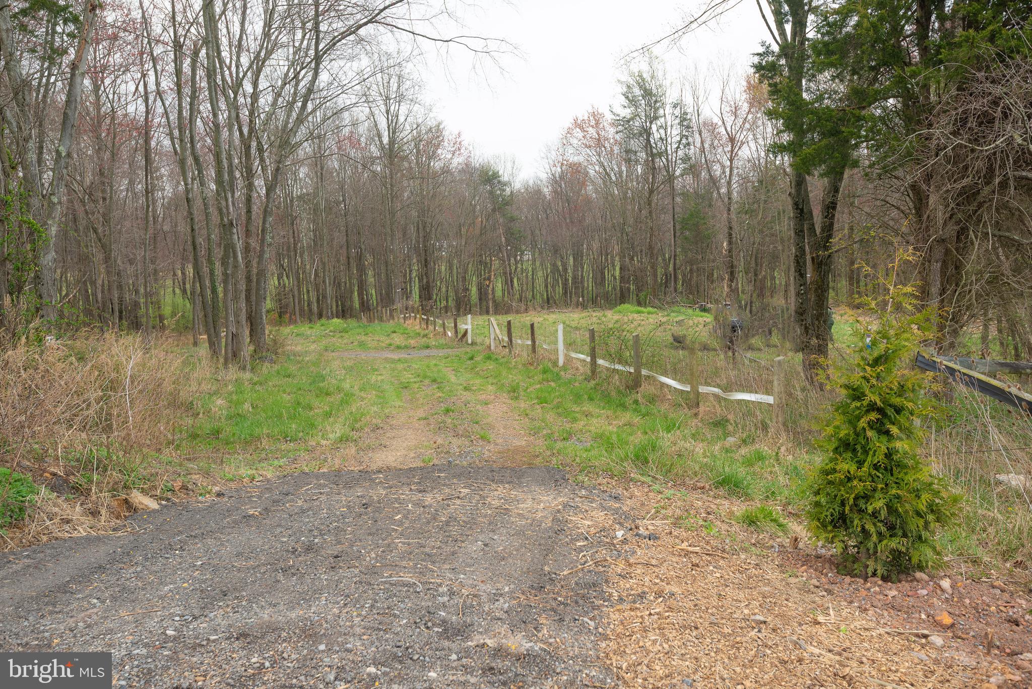 19601 Darnestown Road Beallsville, MD 20839 - Photo 79 of 119 a view of backyard with green space