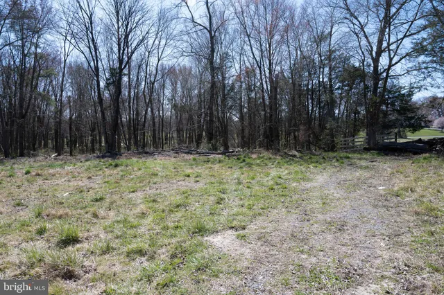 a view of backyard with green space