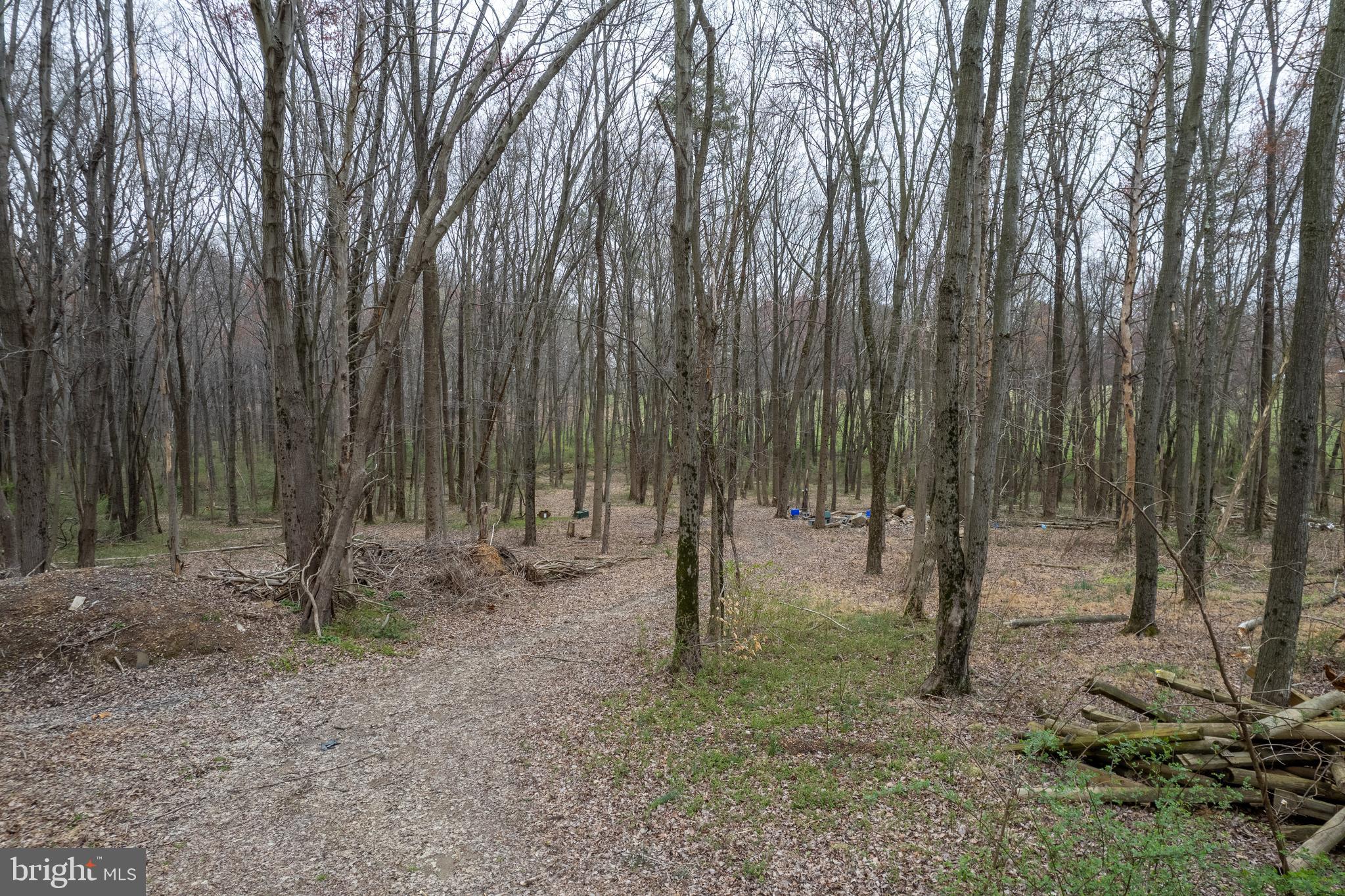 19601 Darnestown Road Beallsville, MD 20839 - Photo 85 of 119