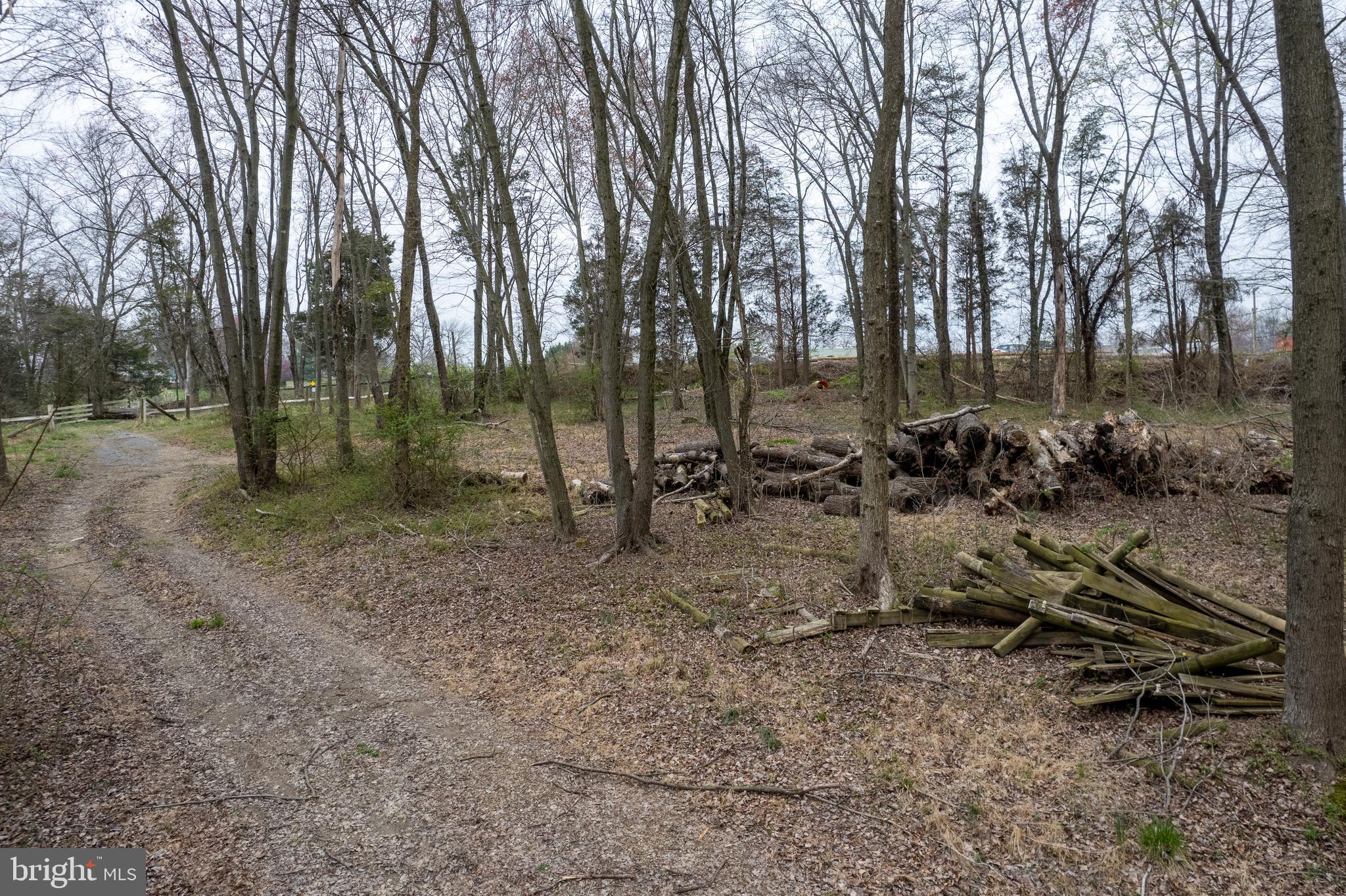 19601 Darnestown Road Beallsville, MD 20839 - Photo 86 of 119 a view of outdoor space with lots of trees