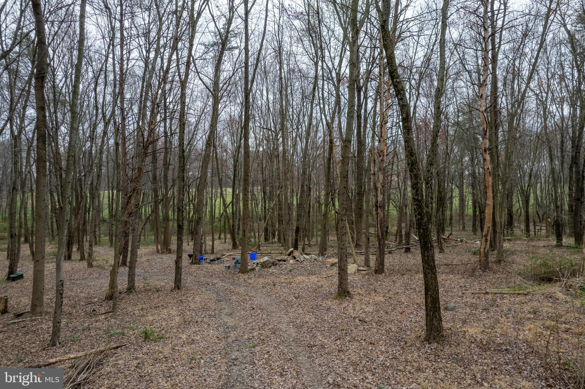 19601 Darnestown Road Beallsville, MD 20839 - Photo 87 of 119