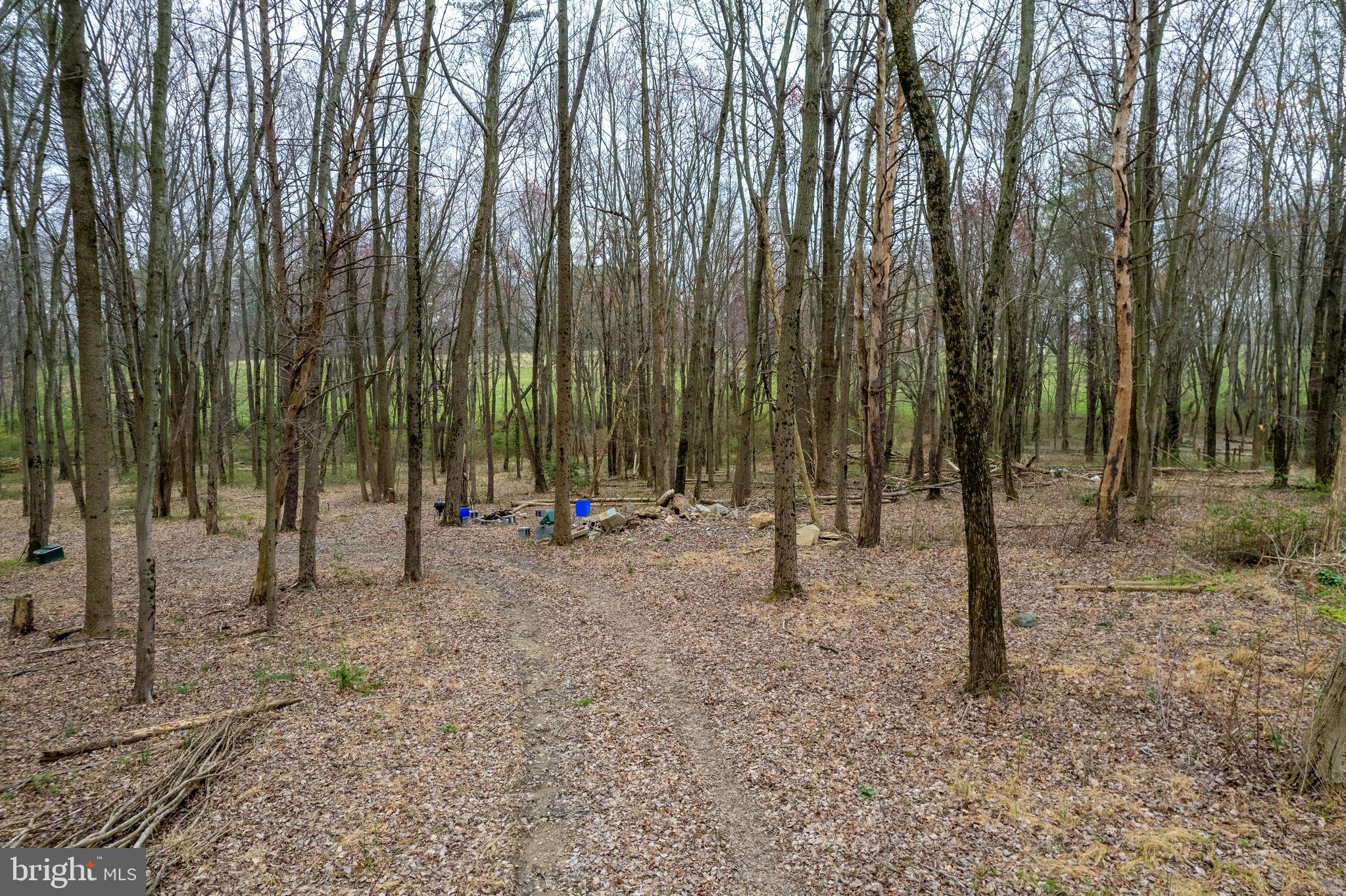 19601 Darnestown Road Beallsville, MD 20839 - Photo 88 of 119