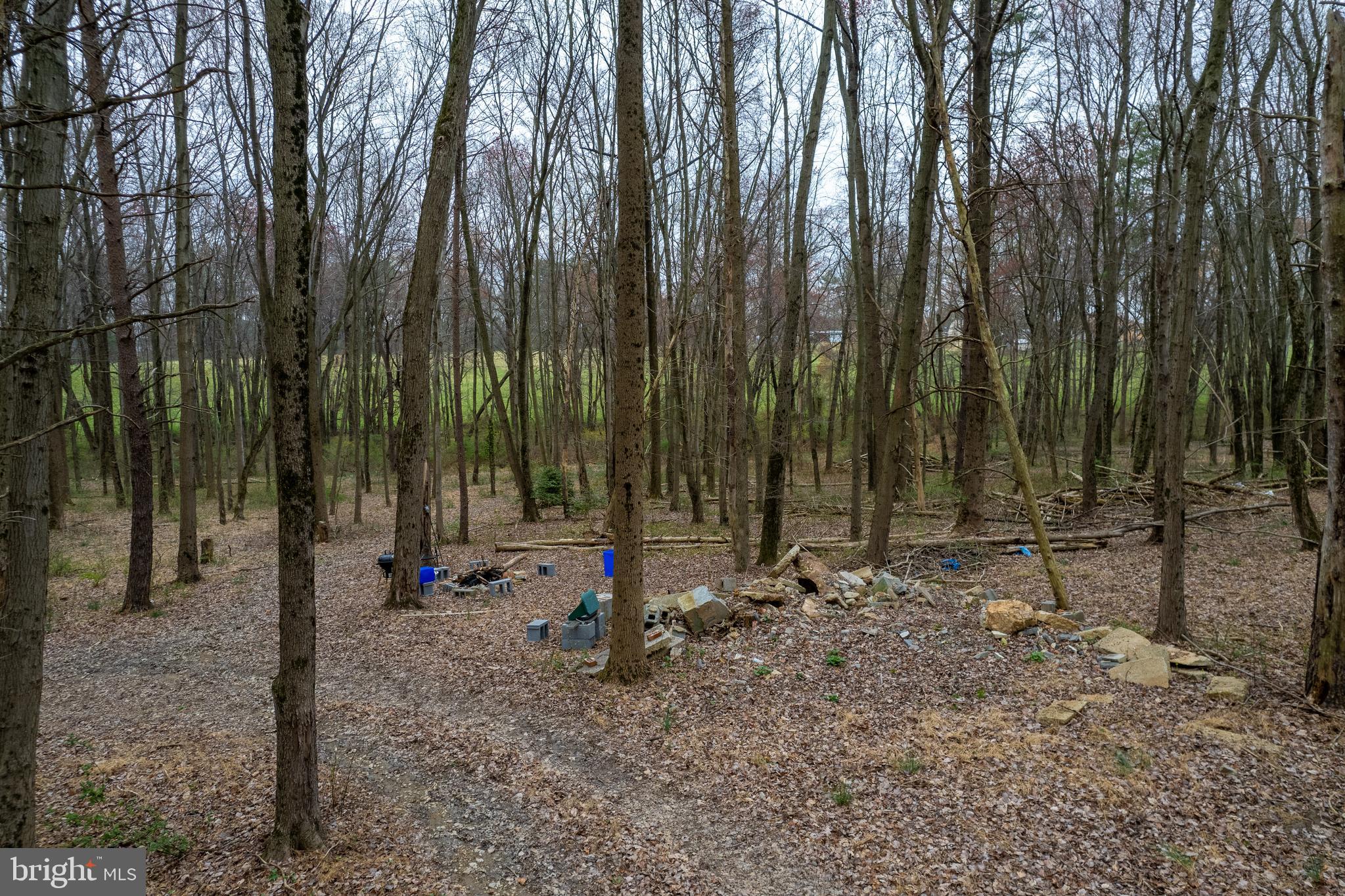 19601 Darnestown Road Beallsville, MD 20839 - Photo 89 of 119 a view of outdoor space with sink and trees