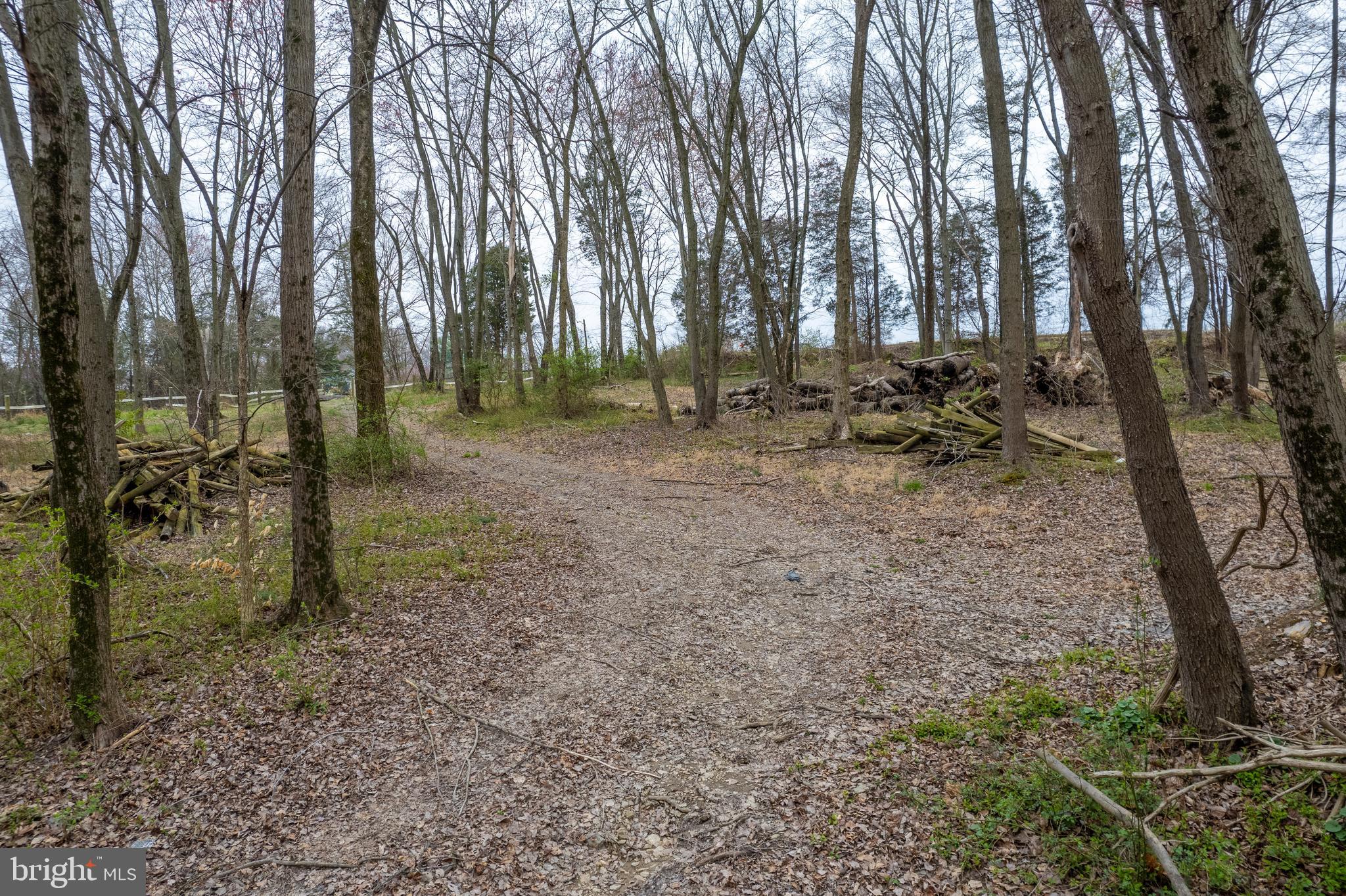 19601 Darnestown Road Beallsville, MD 20839 - Photo 90 of 119 a view of a forest with trees in the background