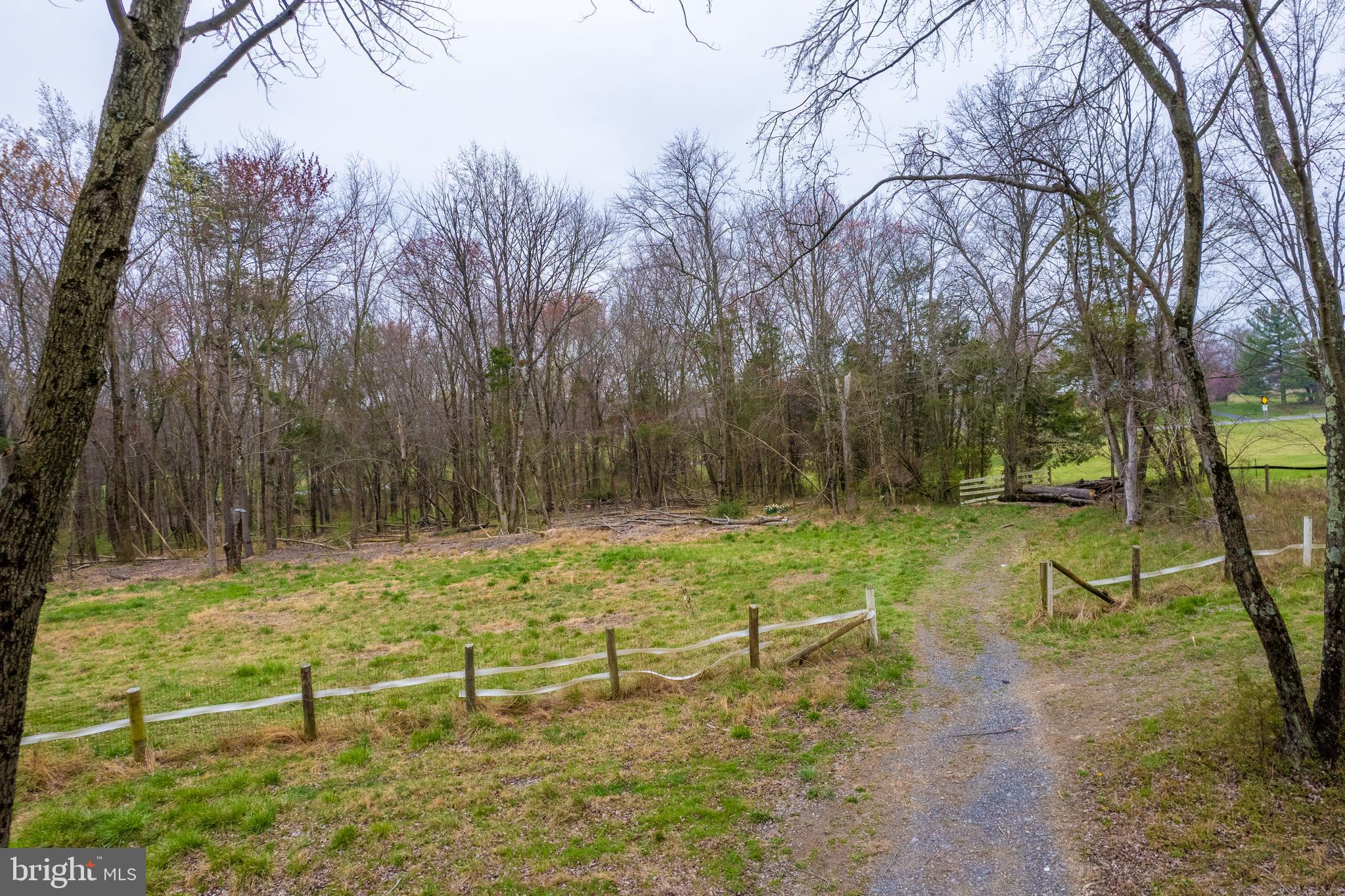 19601 Darnestown Road Beallsville, MD 20839 - Photo 92 of 119 a backyard of a house with lots of green space