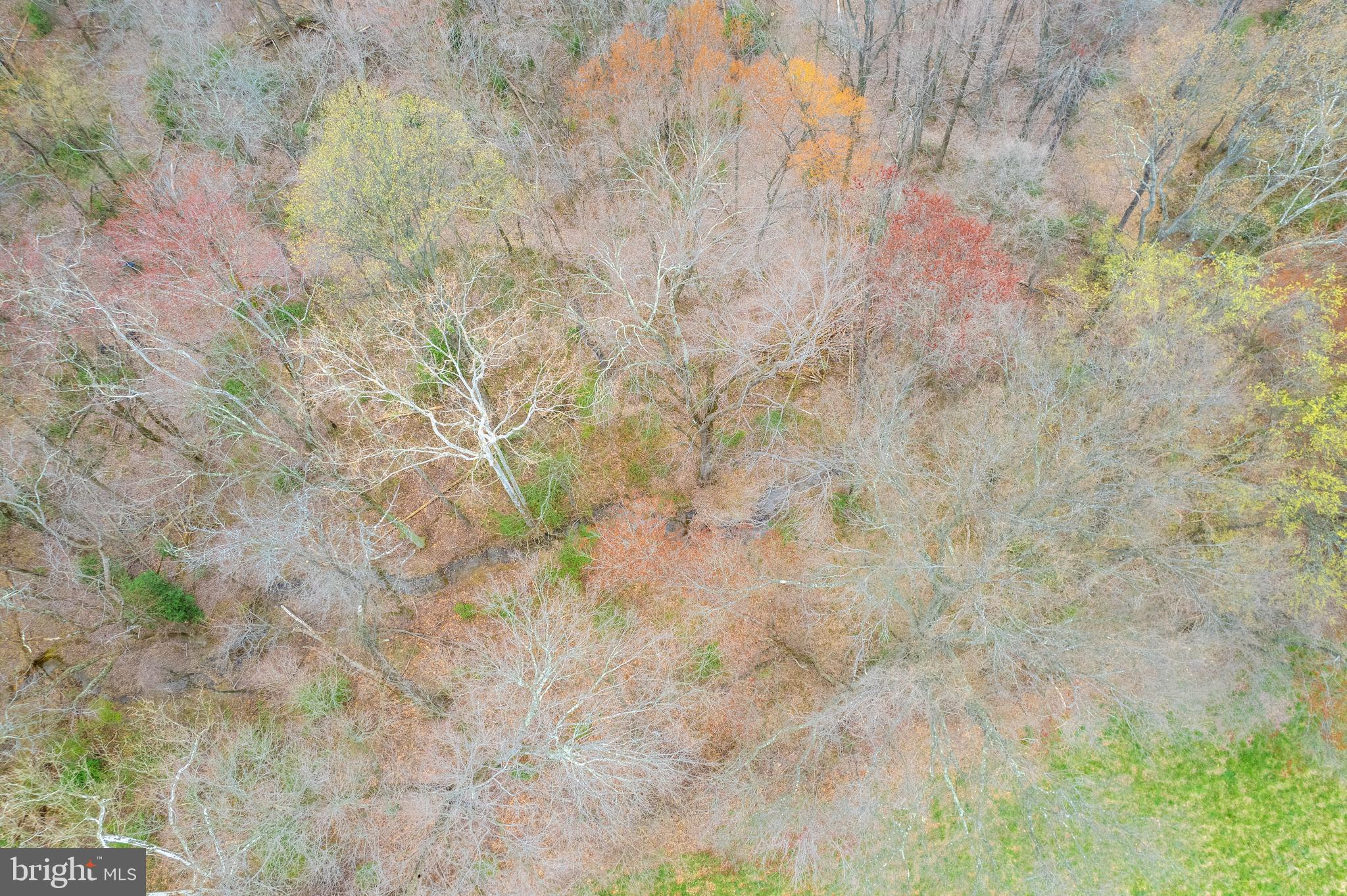 19601 Darnestown Road Beallsville, MD 20839 - Photo 95 of 119