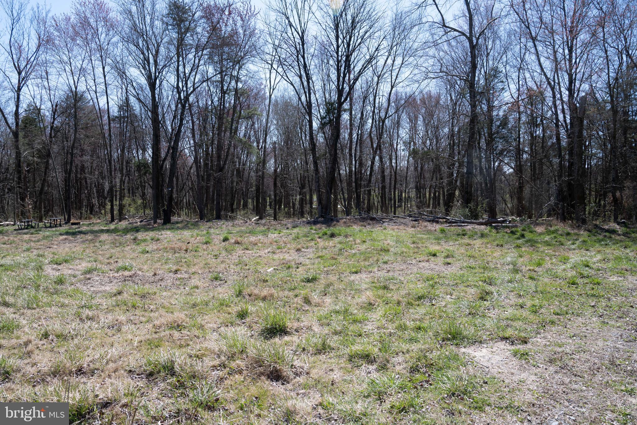 19601 Darnestown Road Beallsville, MD 20839 - Photo 10 of 119