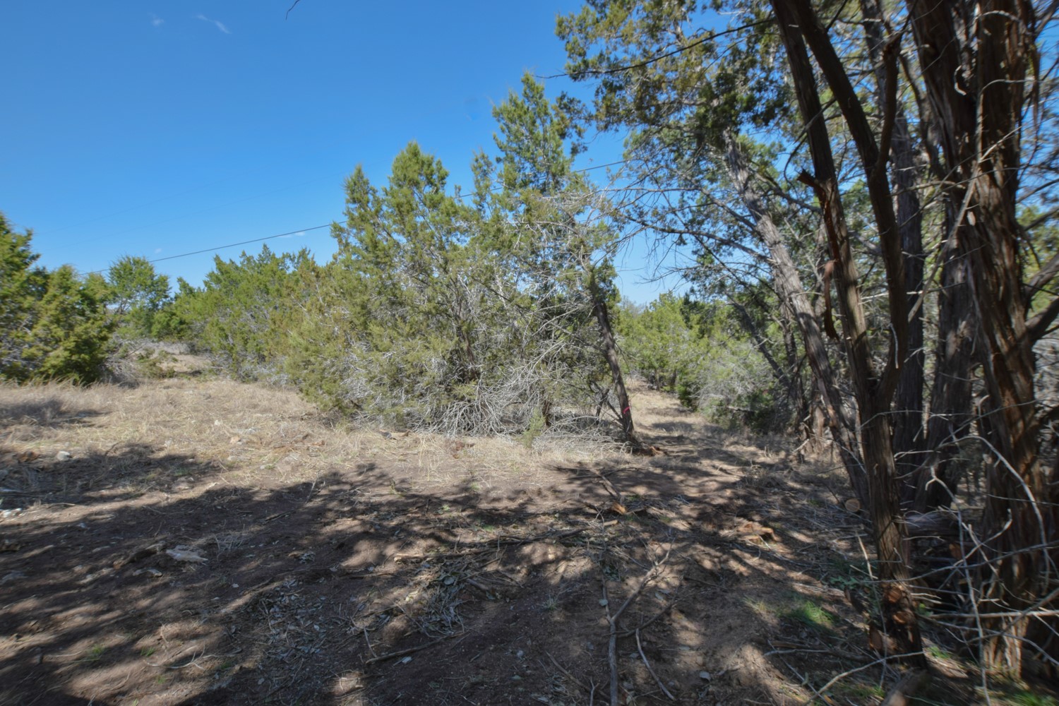 370 B Kothmann Road Dripping Springs, TX 78620 - Photo 24 of 31 Nice stands of trees and open areas.