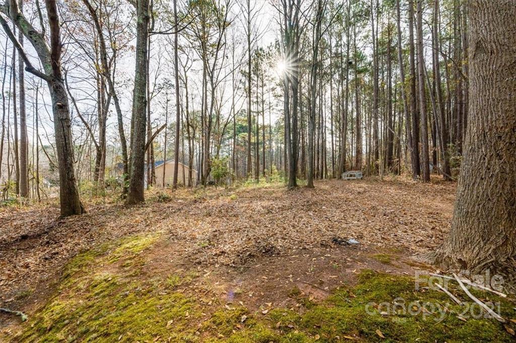 320 Bethel Church Road Clover, SC 29710 - Photo 26 of 30 Gallery Image 26