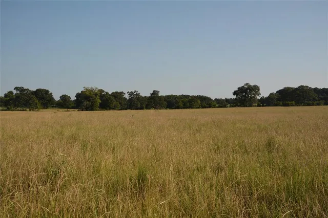 a view of lake with green space