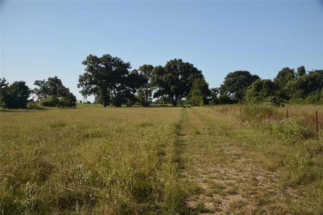 a view of a yard with a house