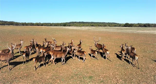 an aerial view of a house with a mountain