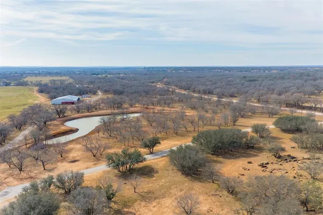 a view of a dry yard with trees