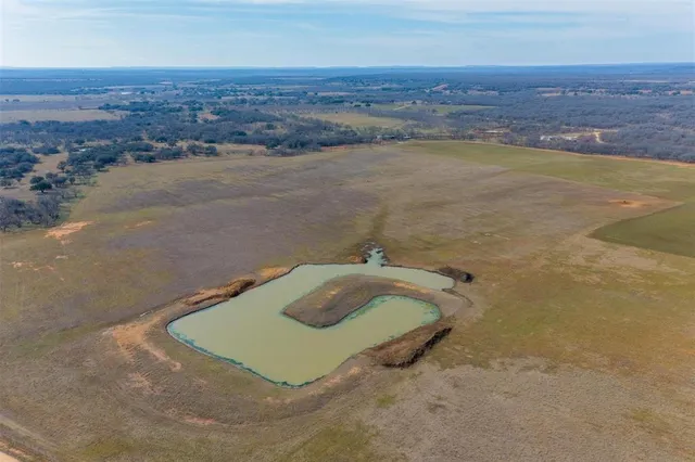 a view of a dry yard