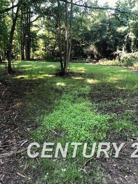 9085 Birch Run Road Millington, MI 48746 - Photo 15 of 31
