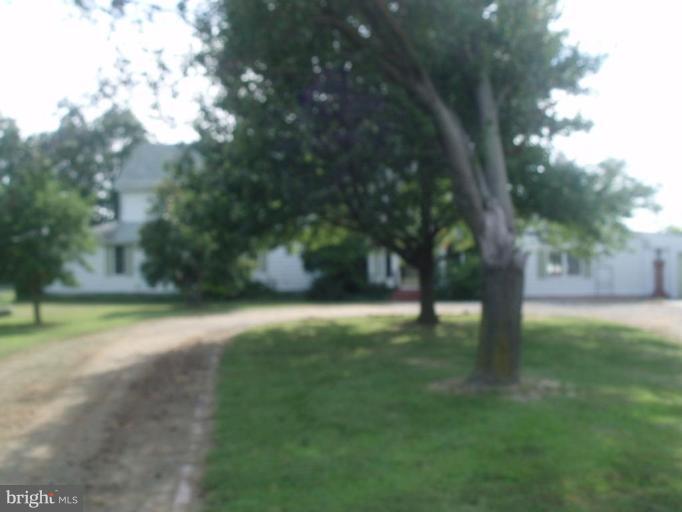 5724 Ross Neck Road Cambridge, MD 21613 - Photo 17 of 17 Exterior #5