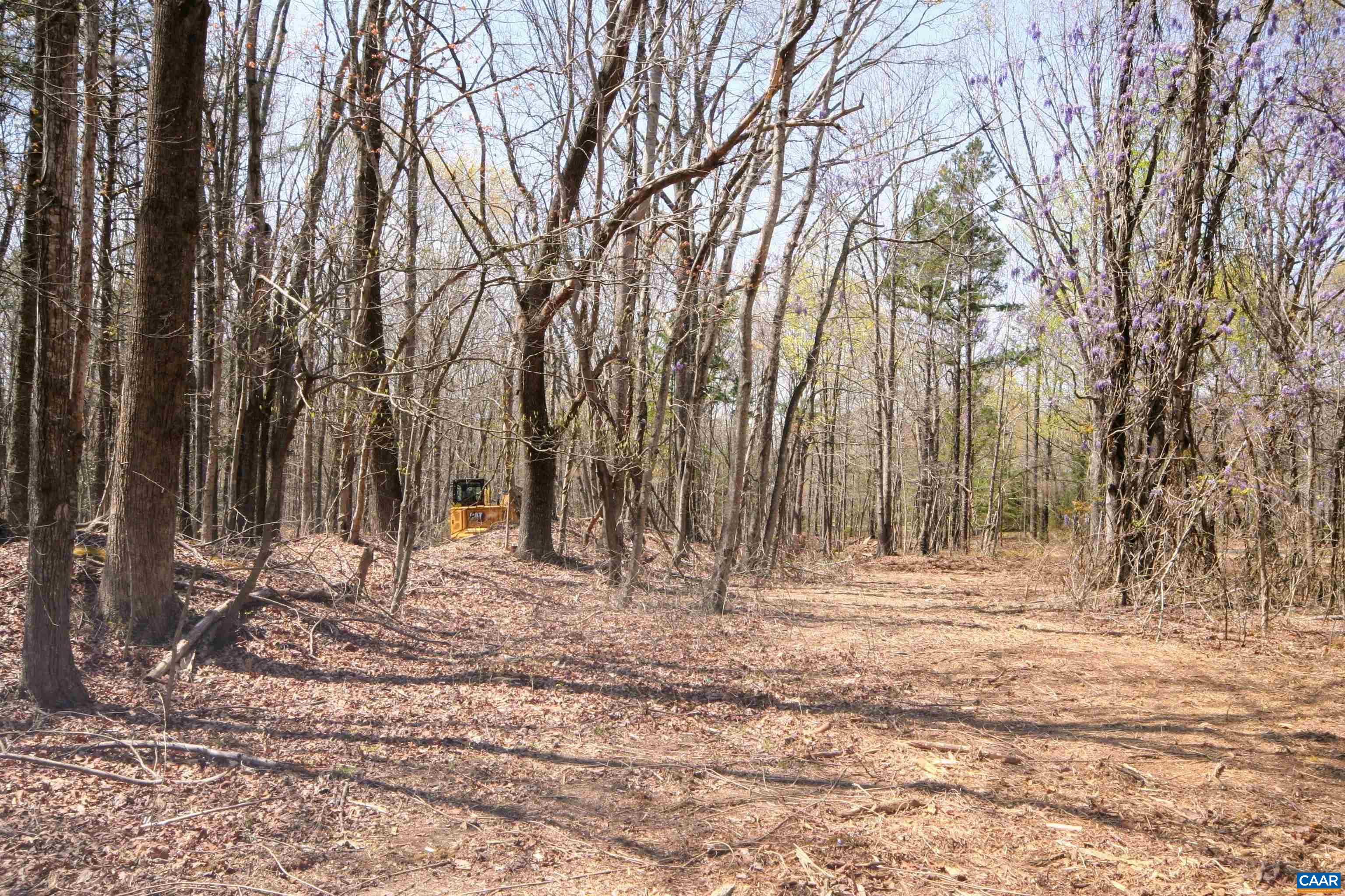 Tbd Pond Road Buckingham, VA 23921 - Photo 15 of 41 a backyard of a house with lots of trees