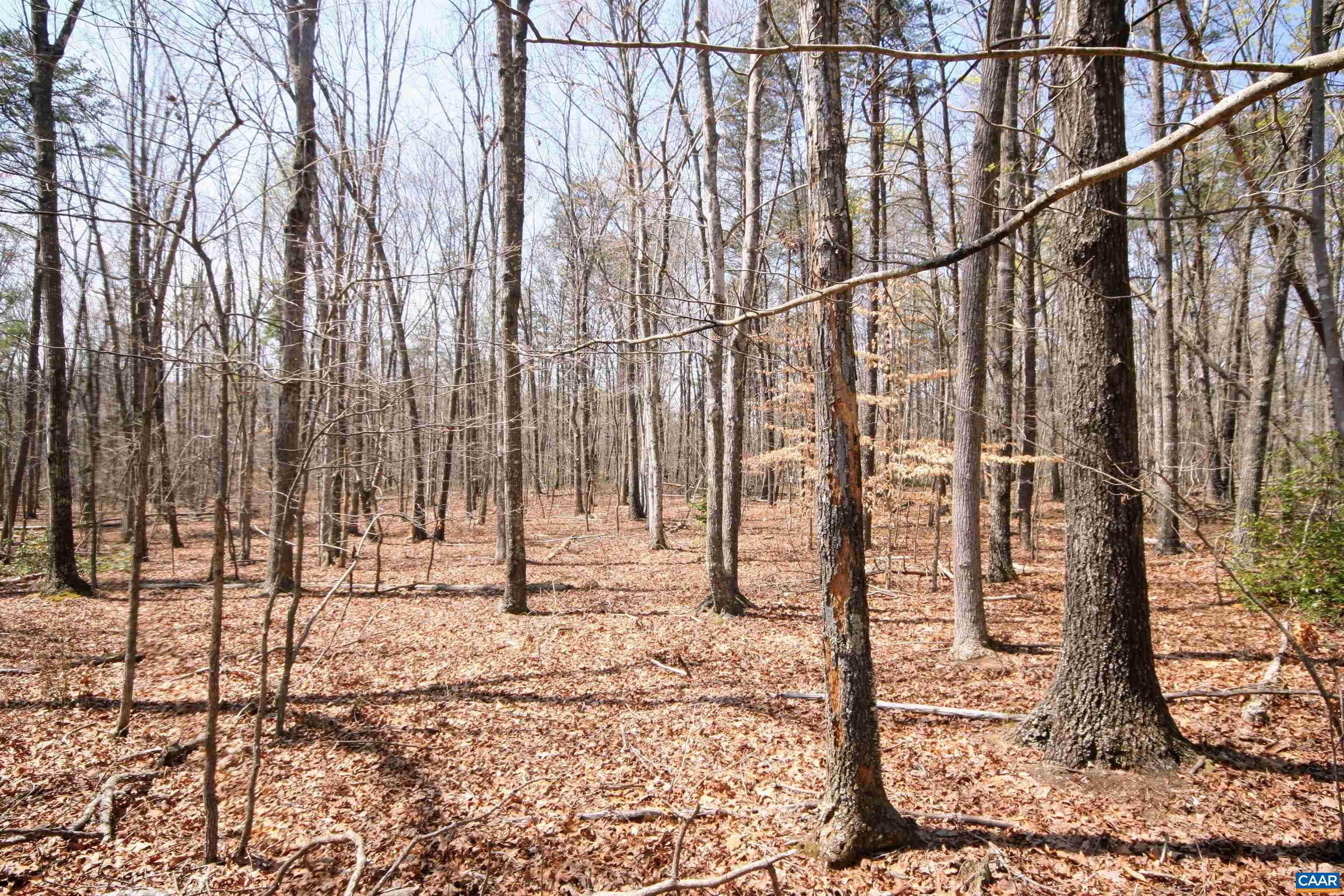 Tbd Pond Road Buckingham, VA 23921 - Photo 22 of 41 a view of wooden fence with trees in the background