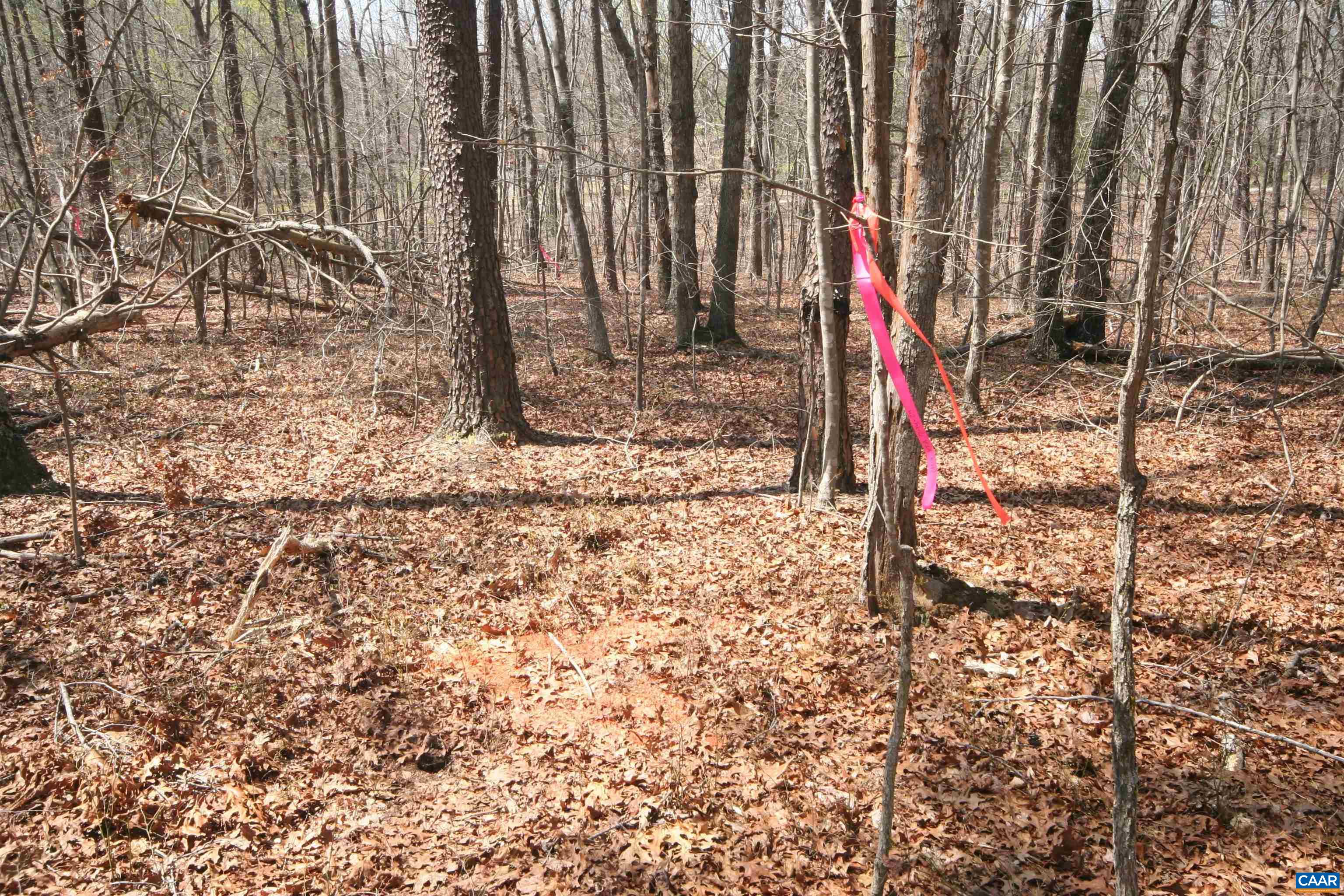 Tbd Pond Road Buckingham, VA 23921 - Photo 29 of 41