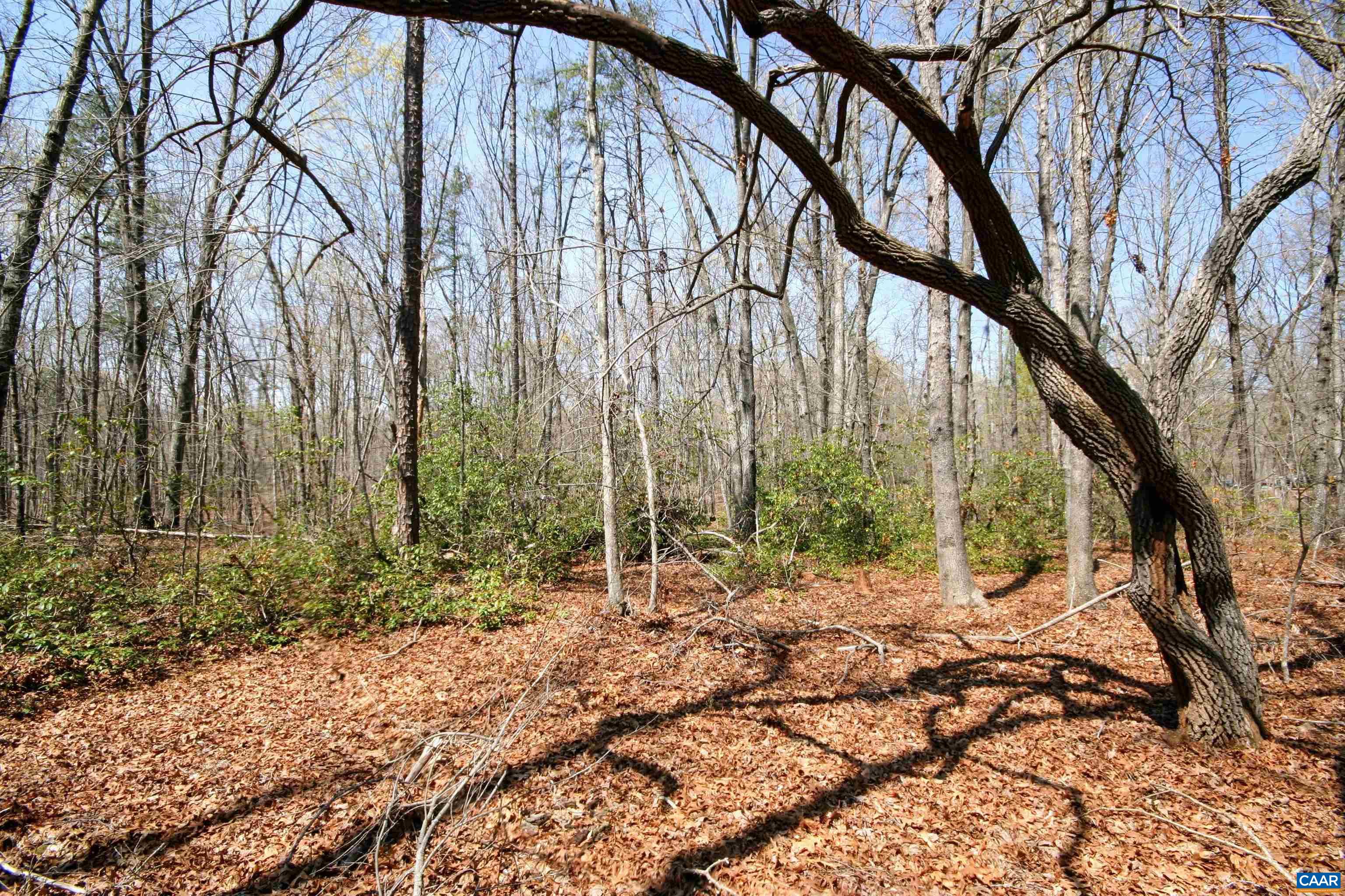 Tbd Pond Road Buckingham, VA 23921 - Photo 30 of 41 a backyard of a house with lots of green space