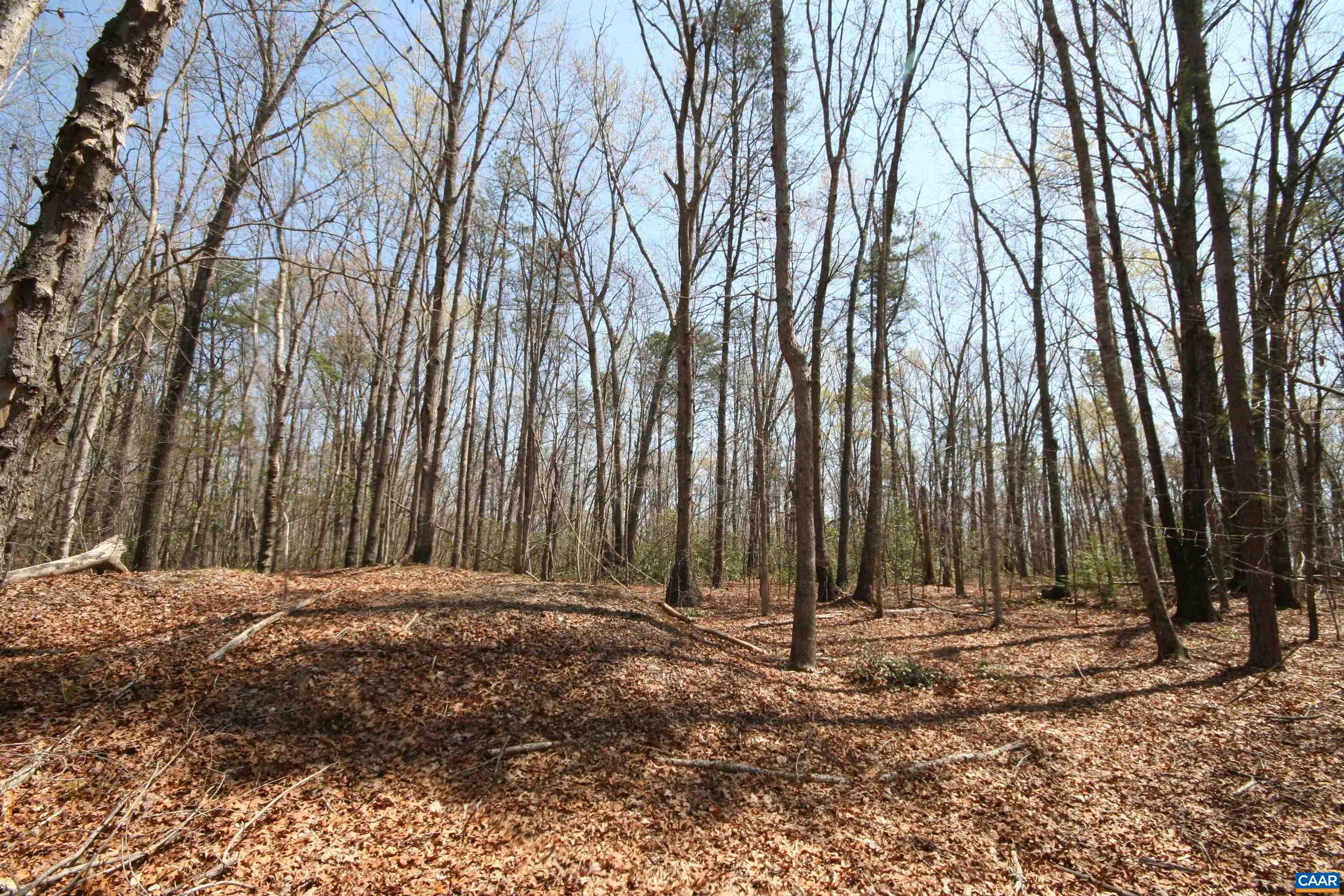 Tbd Pond Road Buckingham, VA 23921 - Photo 31 of 41 a view of outdoor space with wooden fence