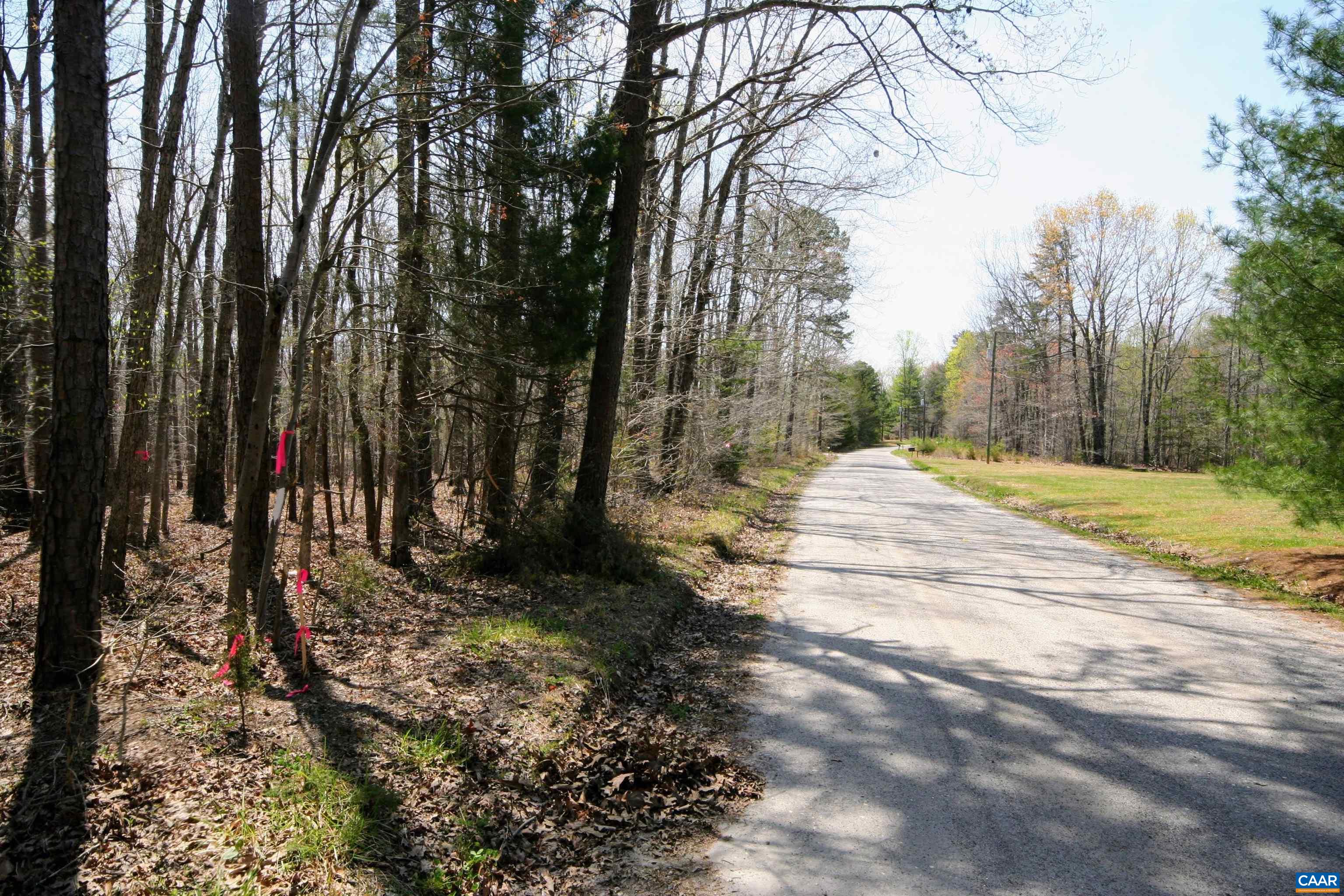 Tbd Pond Road Buckingham, VA 23921 - Photo 36 of 41 a view of a yard with trees