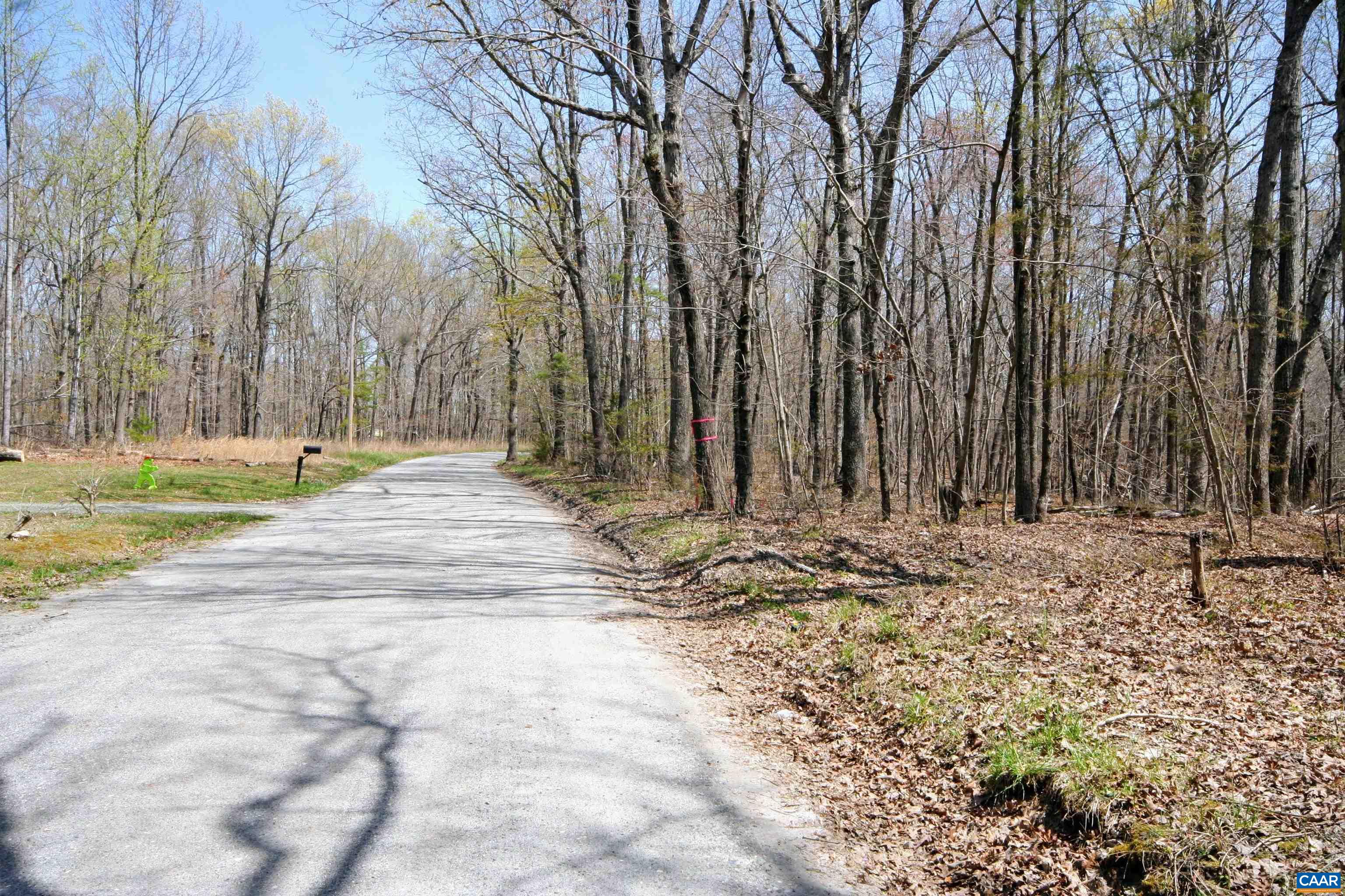 Tbd Pond Road Buckingham, VA 23921 - Photo 40 of 41 a view of a yard with trees