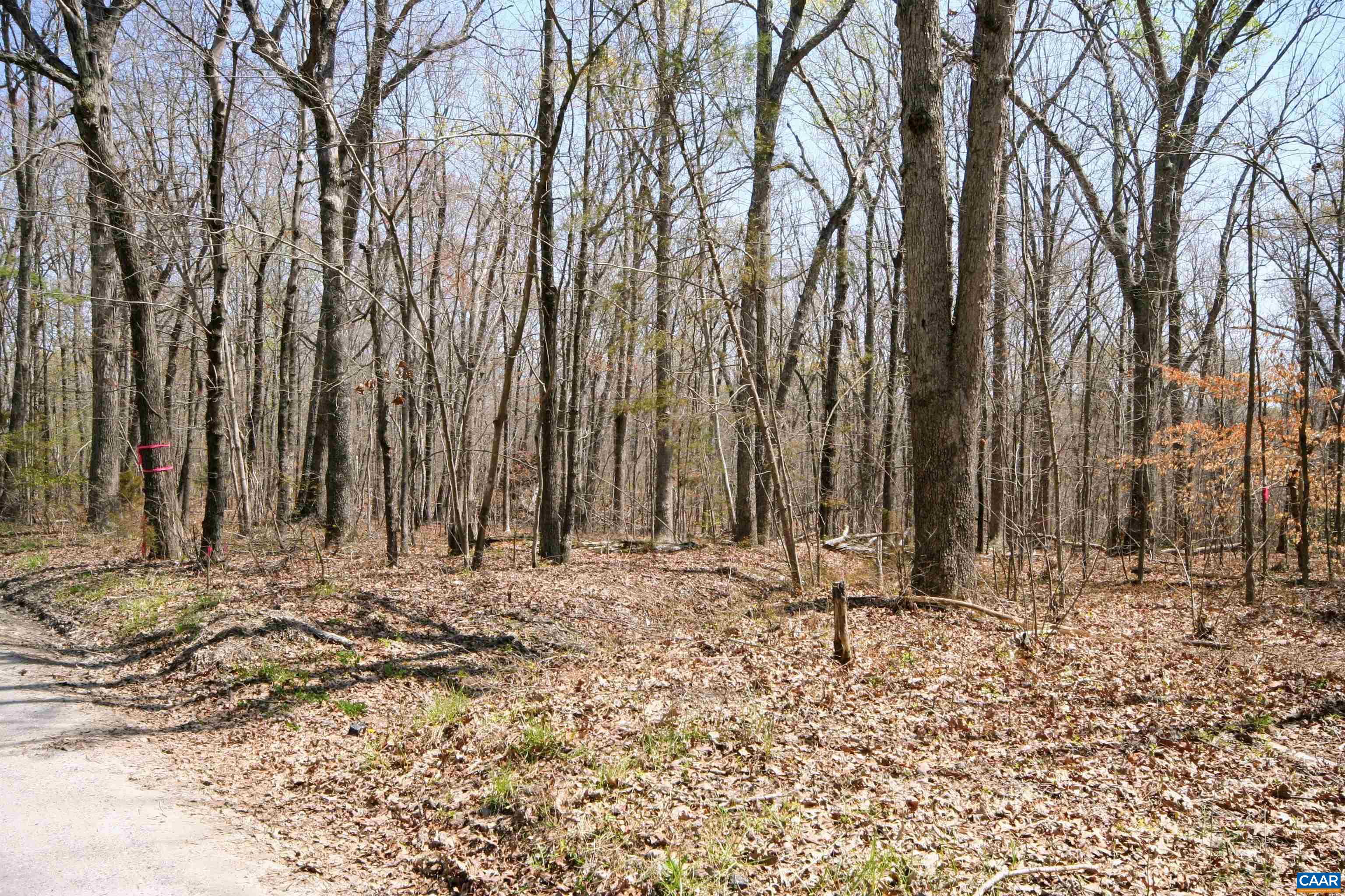 Tbd Pond Road Buckingham, VA 23921 - Photo 41 of 41 a view of outdoor space with trees