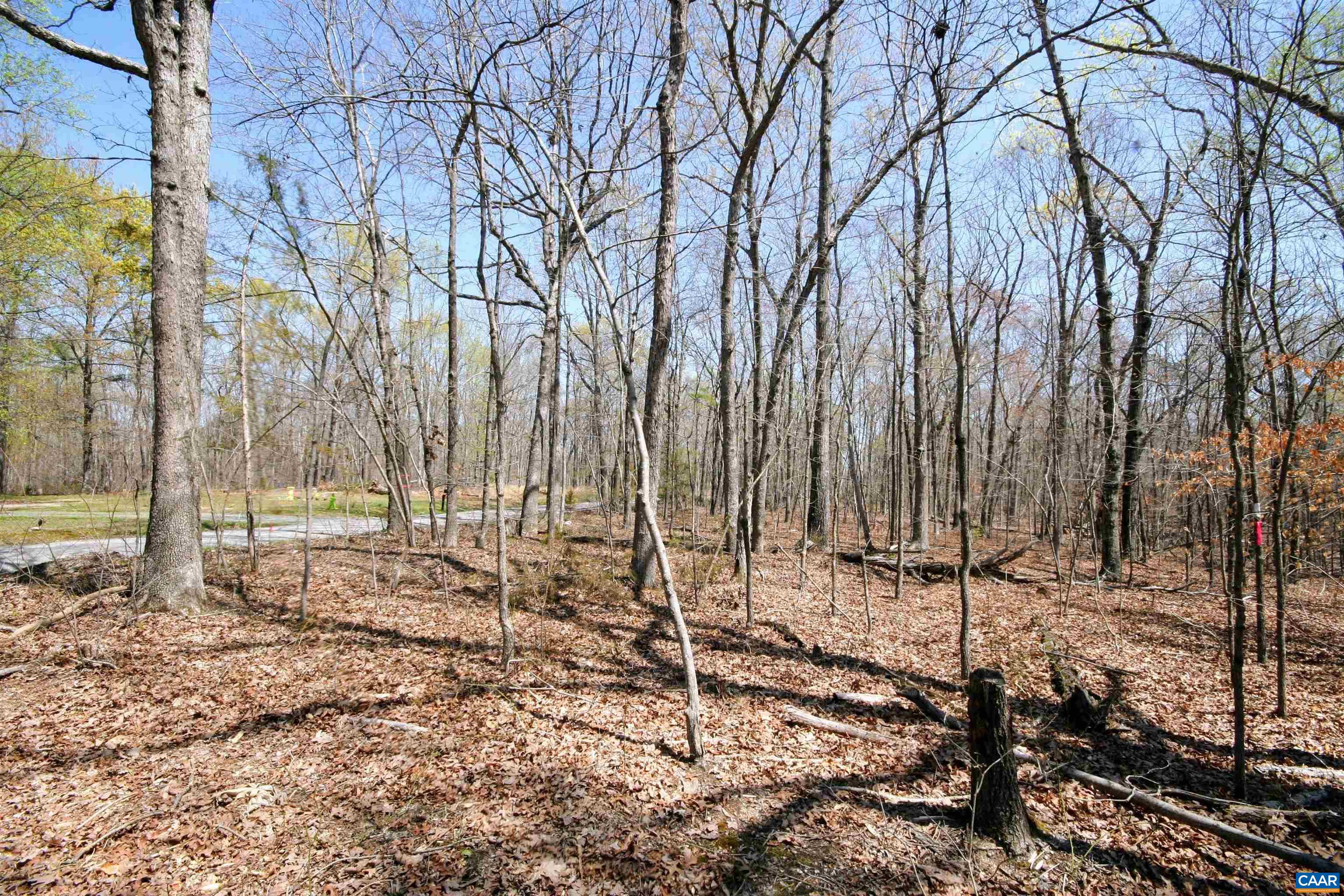 Tbd Pond Road Buckingham, VA 23921 - Photo 10 of 41 a backyard of a house with lots of green space