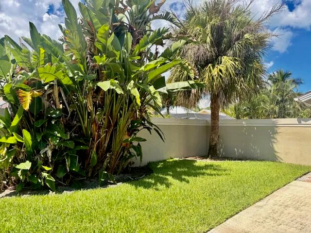 a view of a backyard