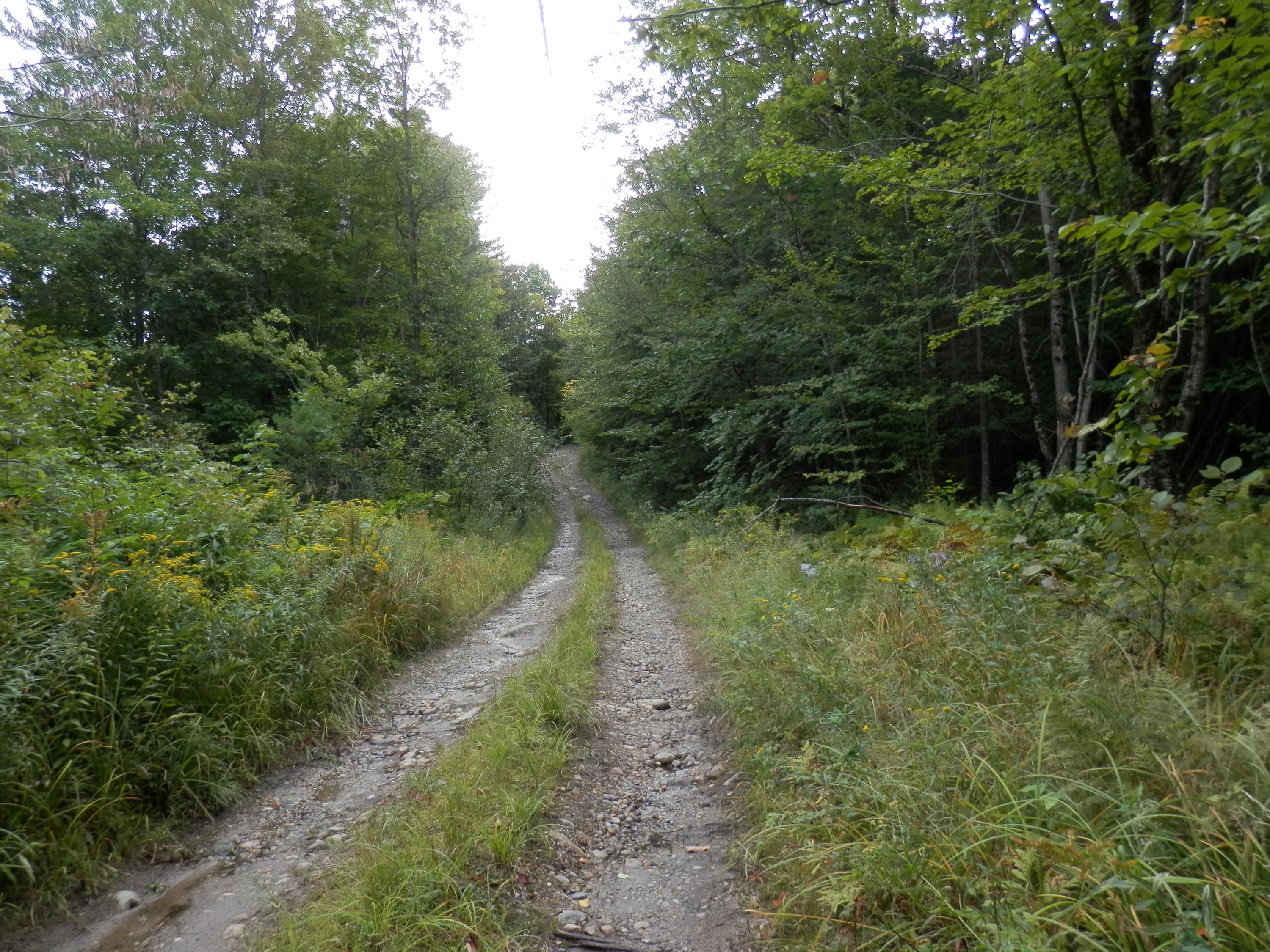 N/a Farrand Hill Road Canton, ME 04221 - Photo 2 of 8 P9120154 (1)