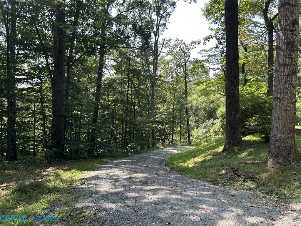 136 Wolftown-Hood Road Hood, VA 22723 - Photo 19 of 22